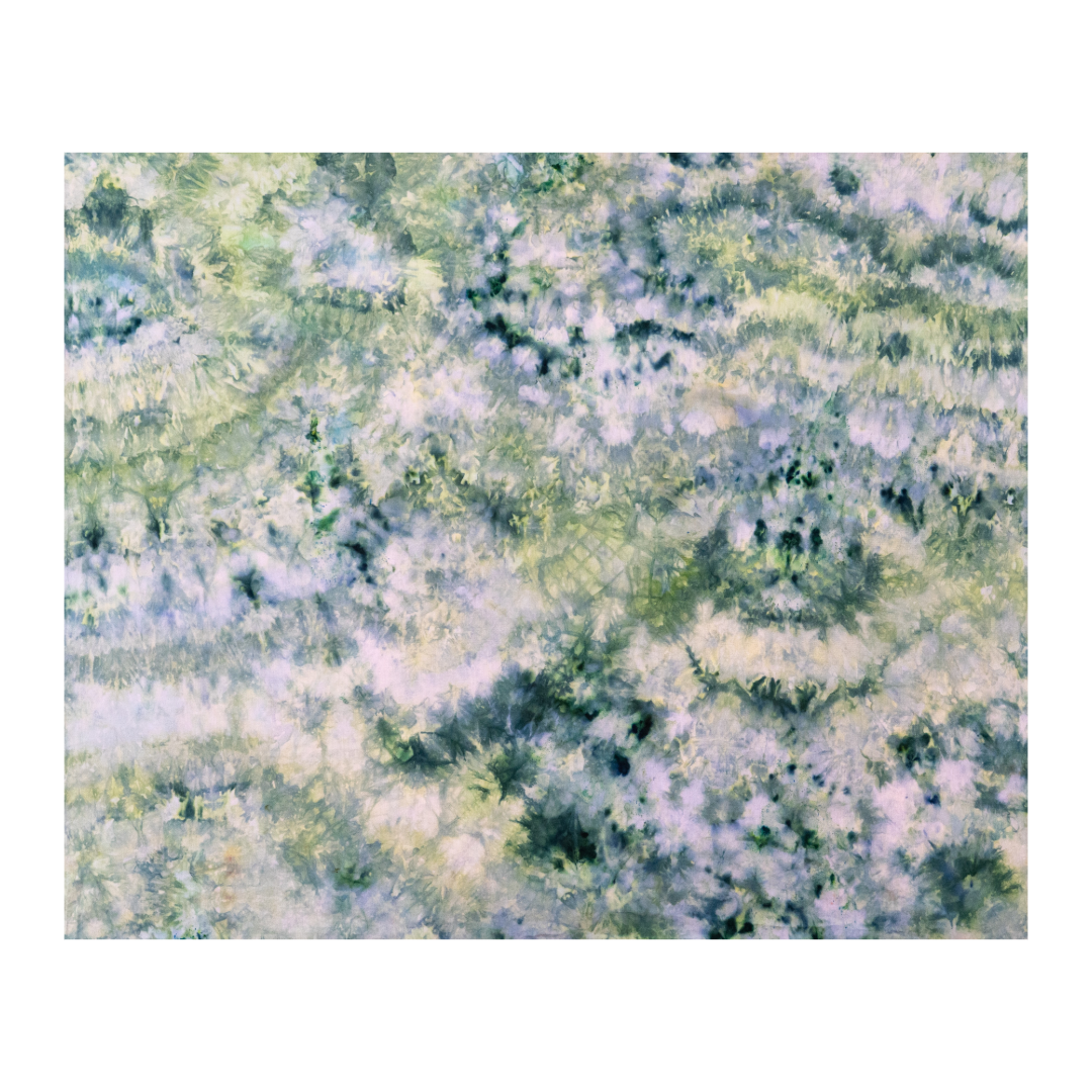529590C2-327D-4BC0-8BDE-E77053A736EB.png