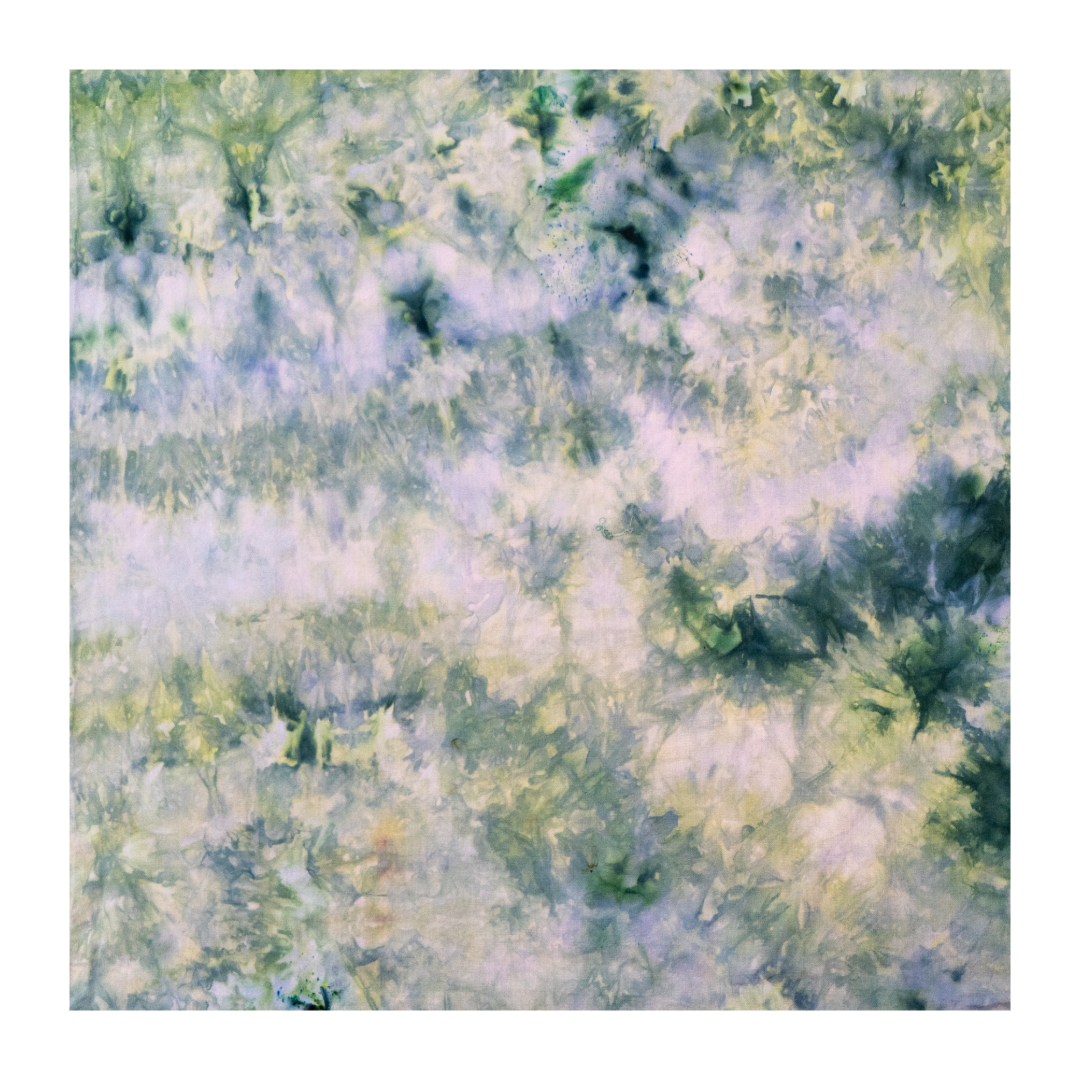 910E5087-3659-45A5-BCA3-08D34599068C.png