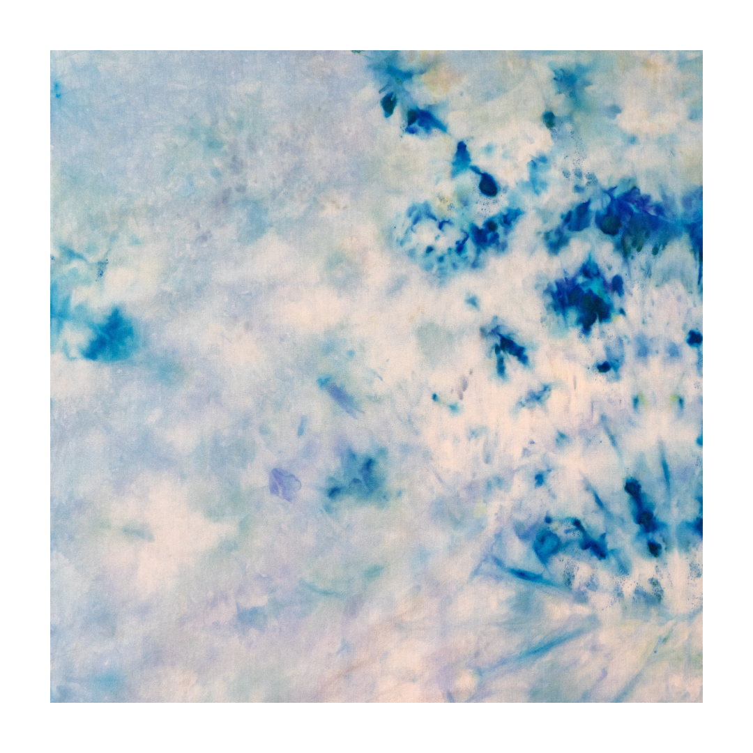 7E9ECB26-2614-4E61-8212-8264577FF92D.png