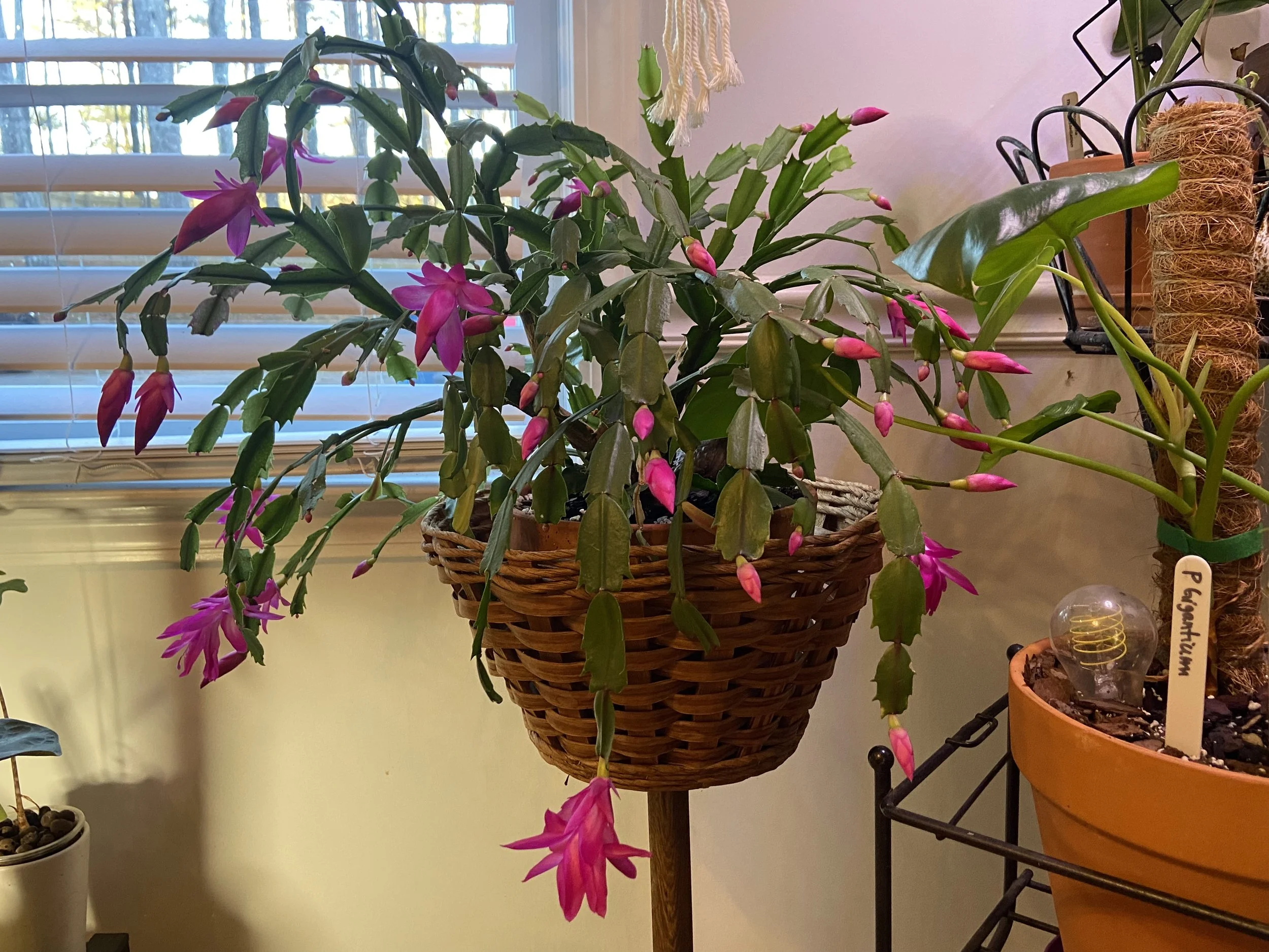 2025-12-15 08.27.41-1.jpg