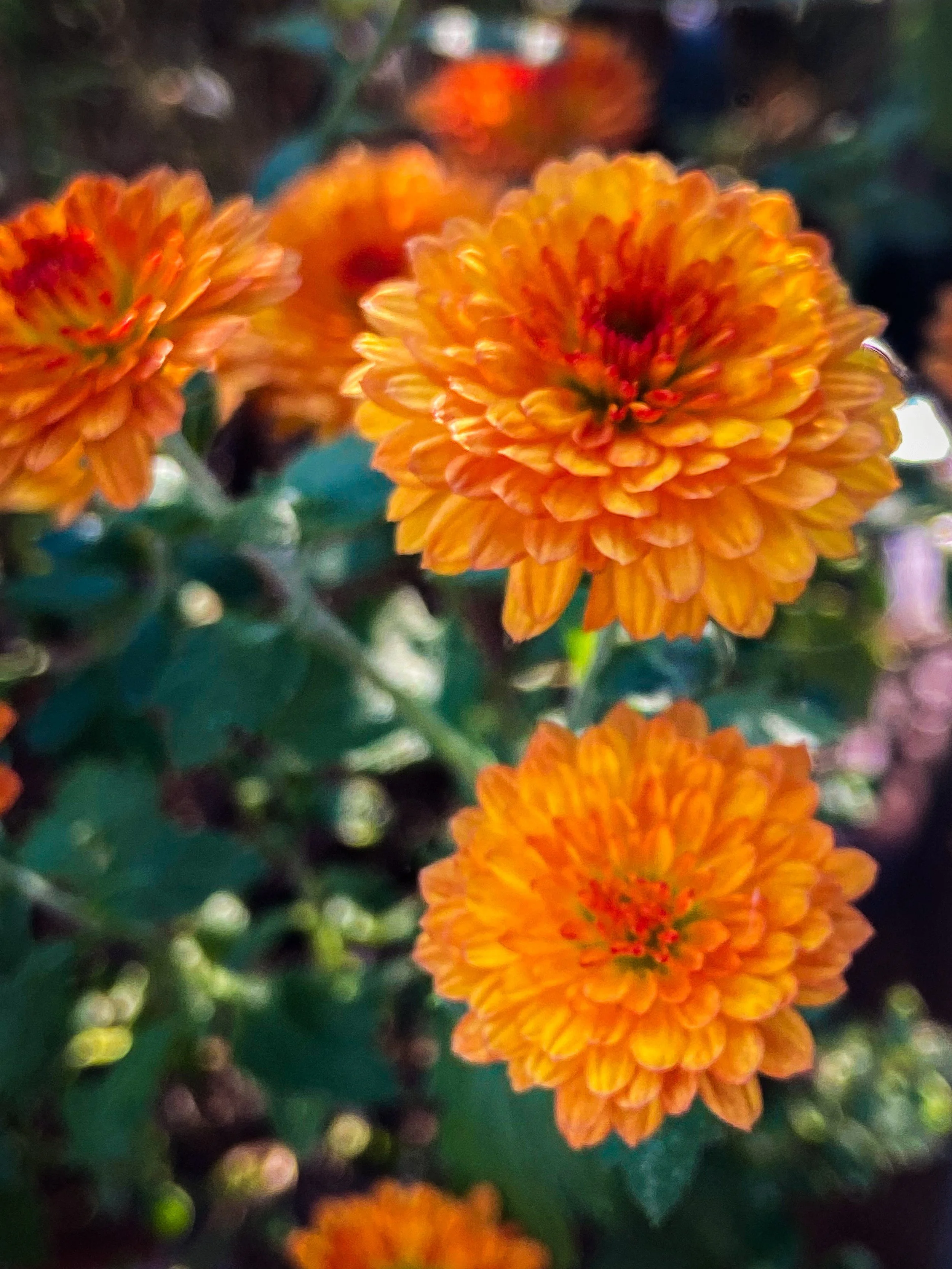 2025-10-11 09.55.39-2.jpg