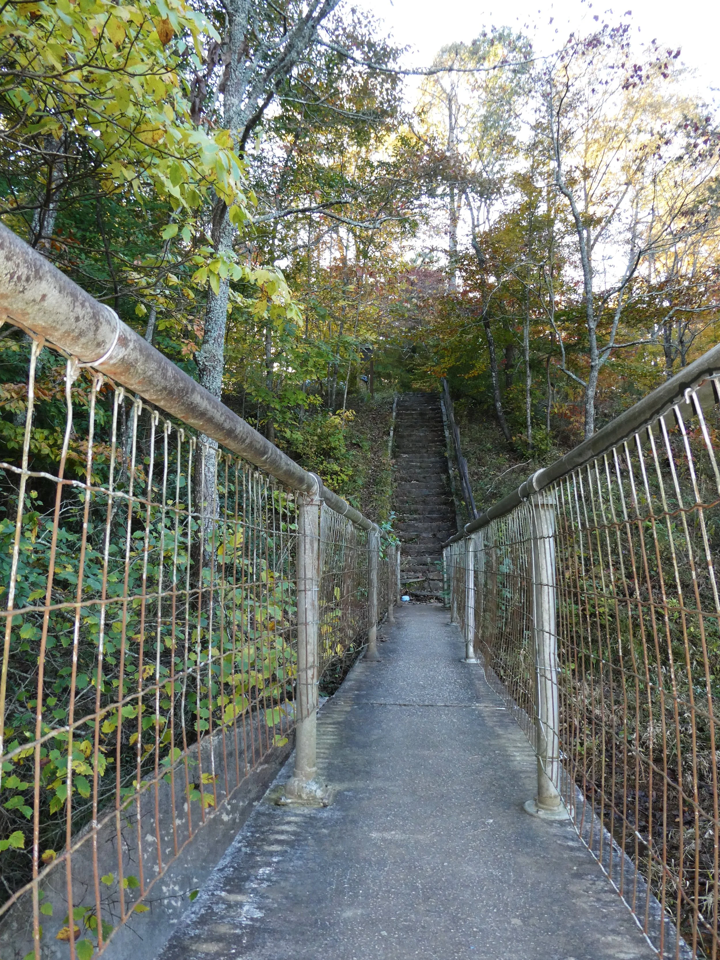 2021-11-07 04.20.13.jpg