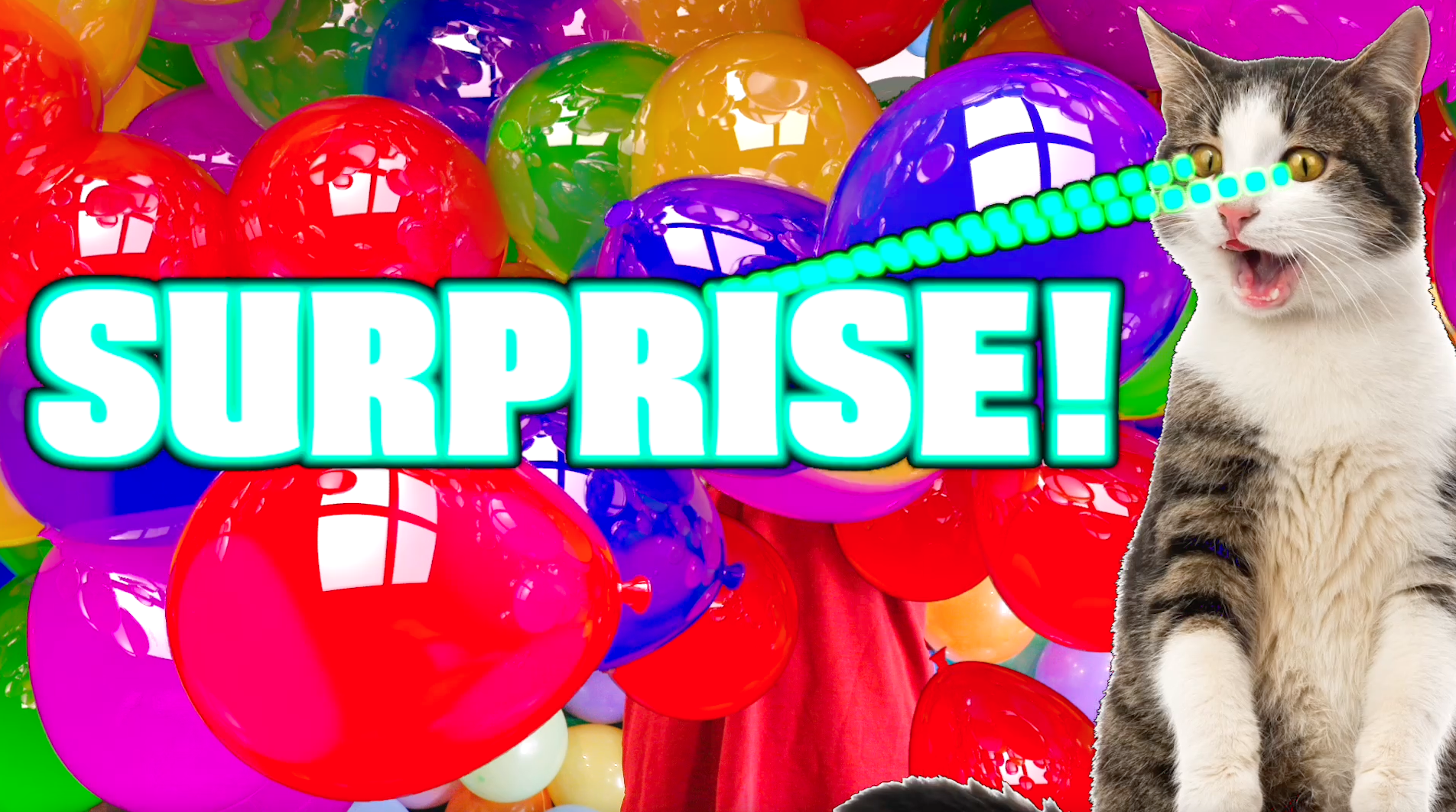 VBS Surprise