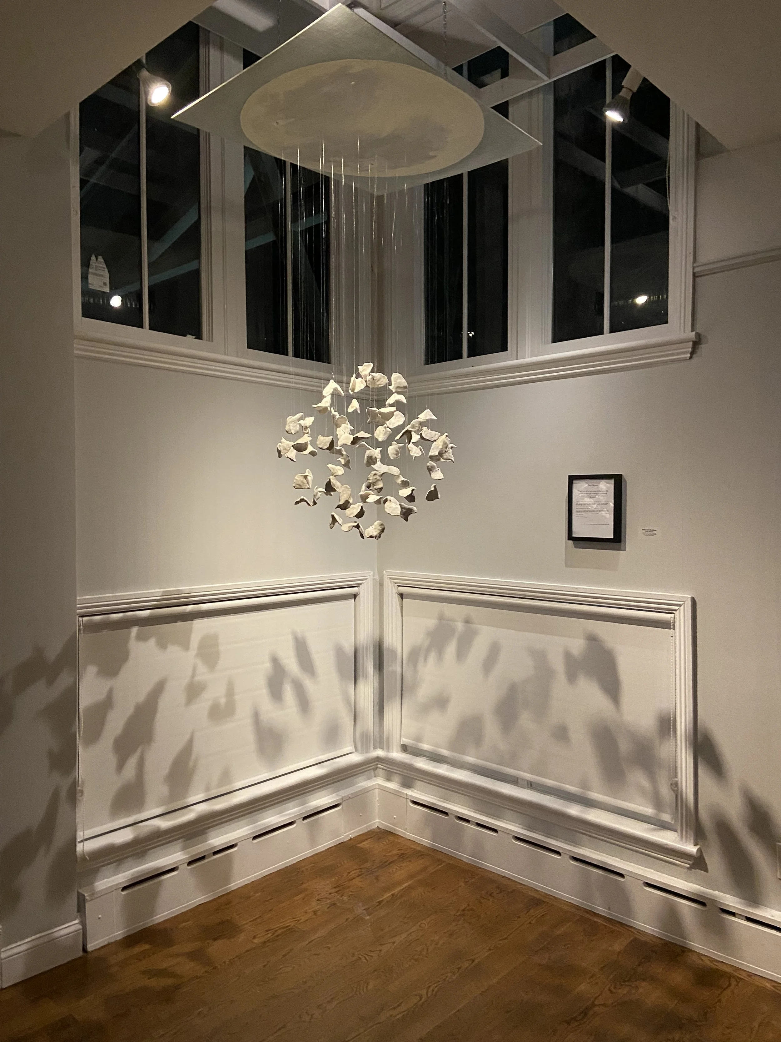 DeborahBaldizar_birdmoon1.jpg