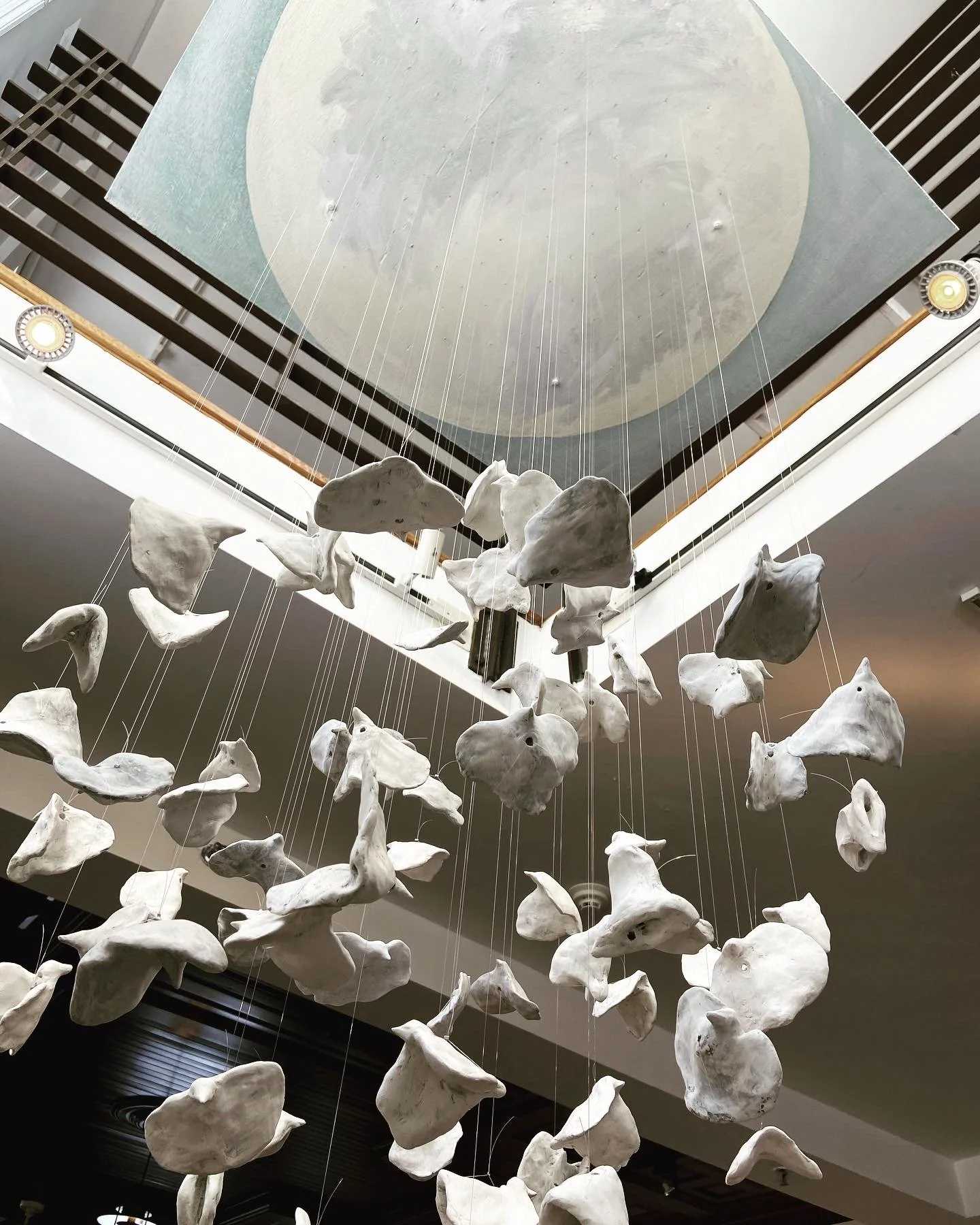 Deborahbaldizar_birdmoon5.JPG
