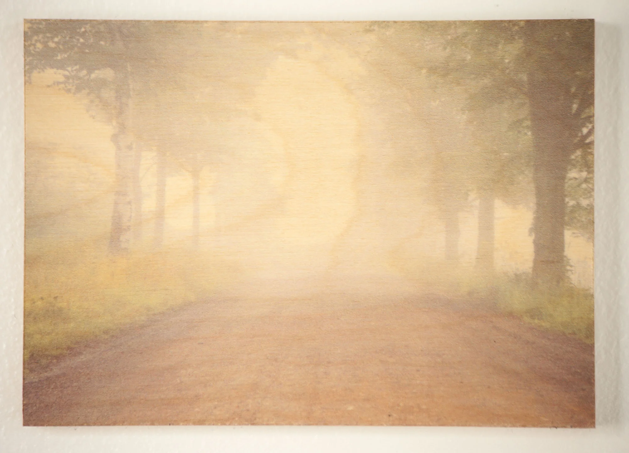 Eden Trail, Leyden, Massachusetts