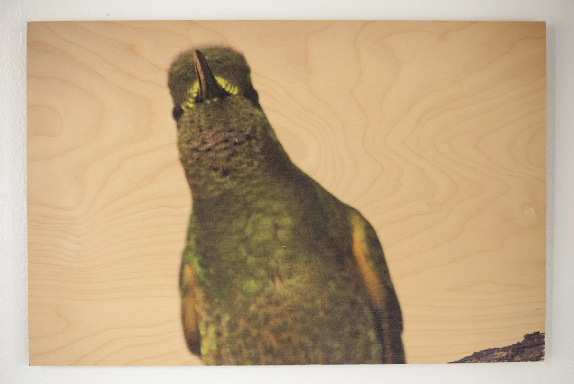 Hummingbird I, Colombia