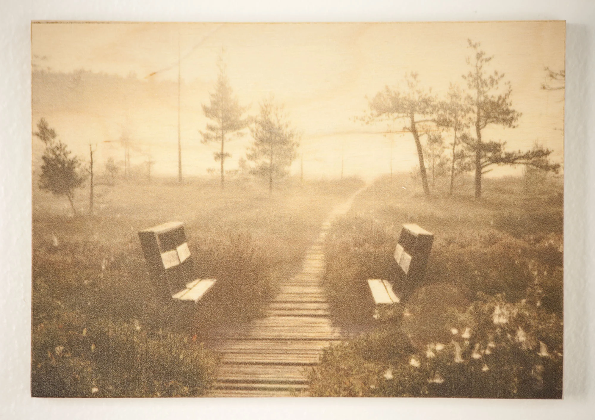 Sunrise, Saco Heath, Maine