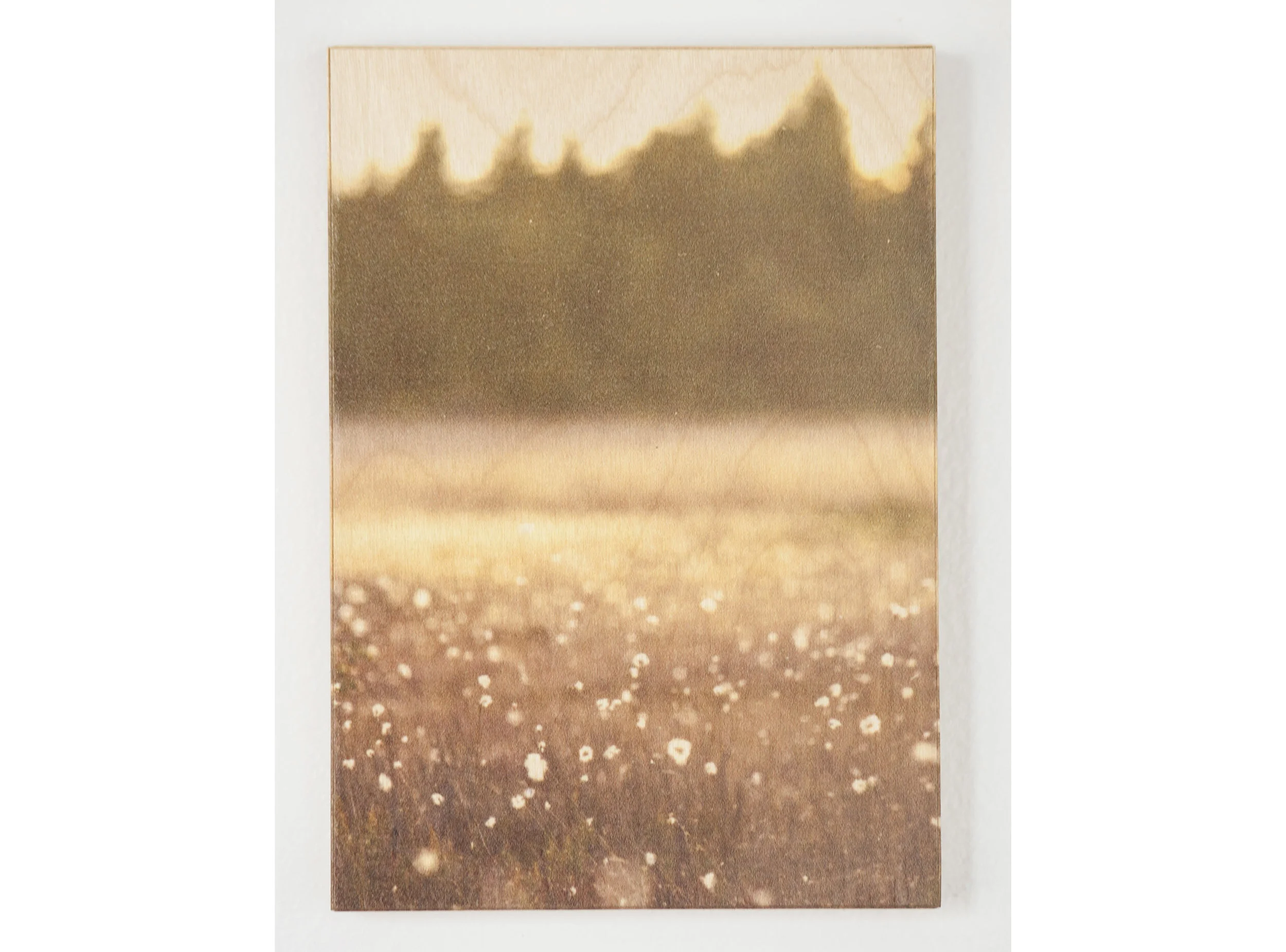 Sunset, Dolly Sods, WV