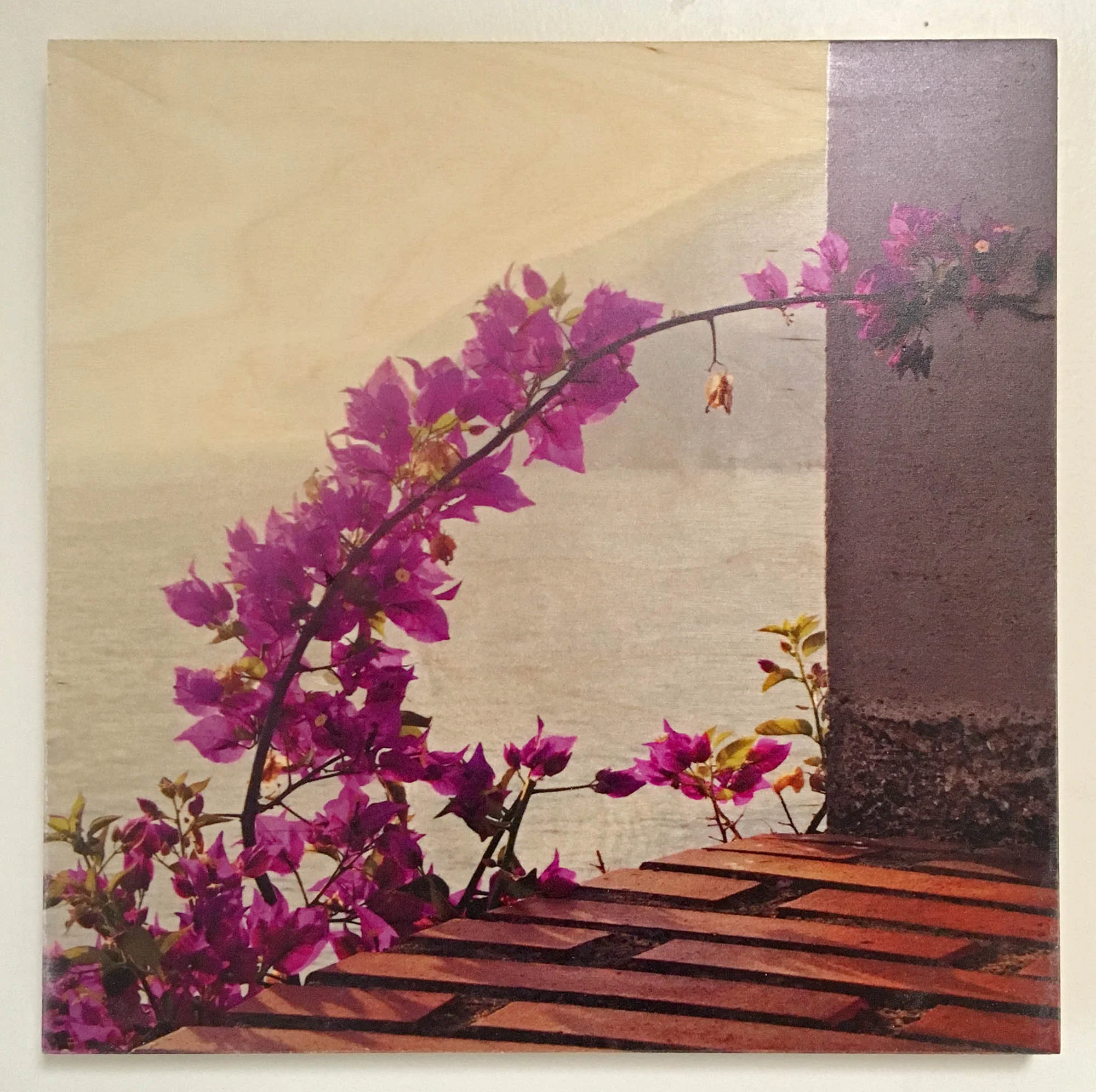 Flower Arch, Manarola