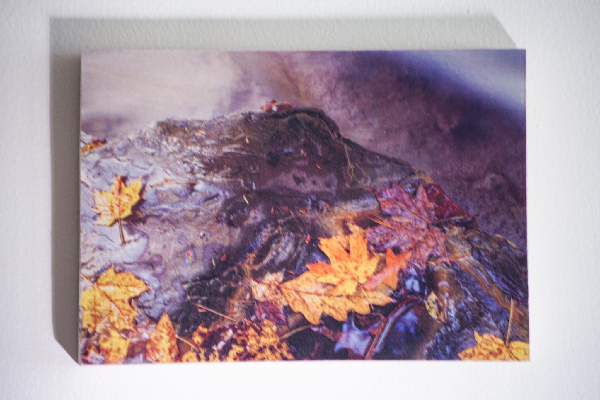 Fall Leaves, Lick Brook, Ithaca