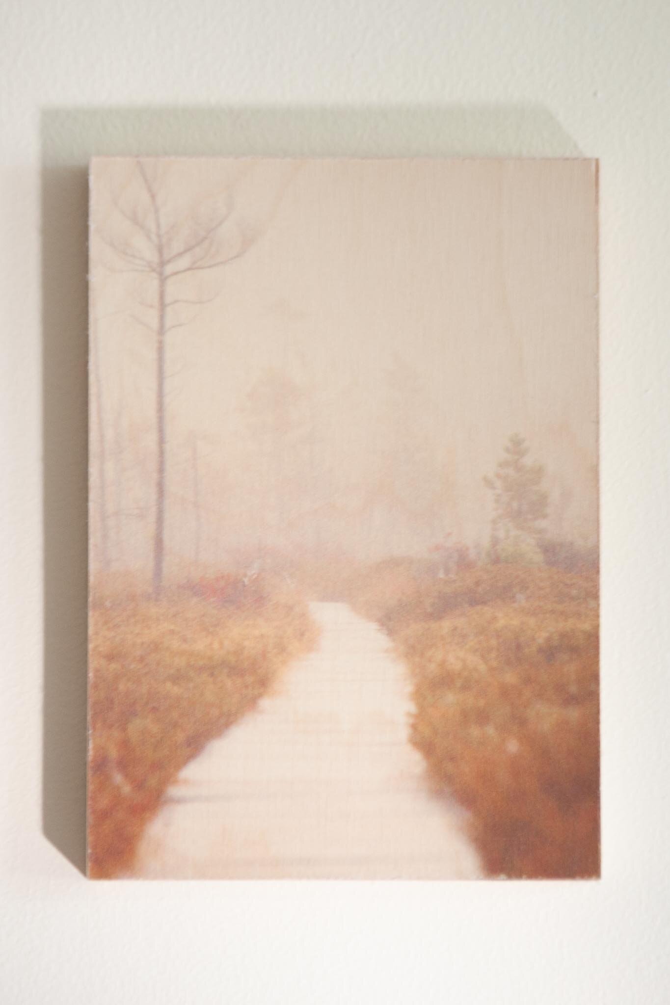 Boardwalk, Saco Heath, Maine