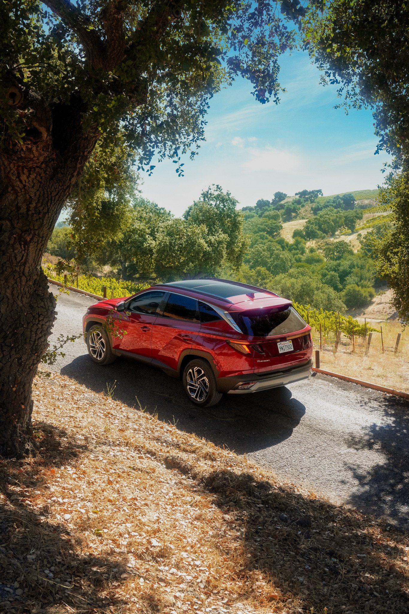 LOS OLIVOS-305_b.jpg