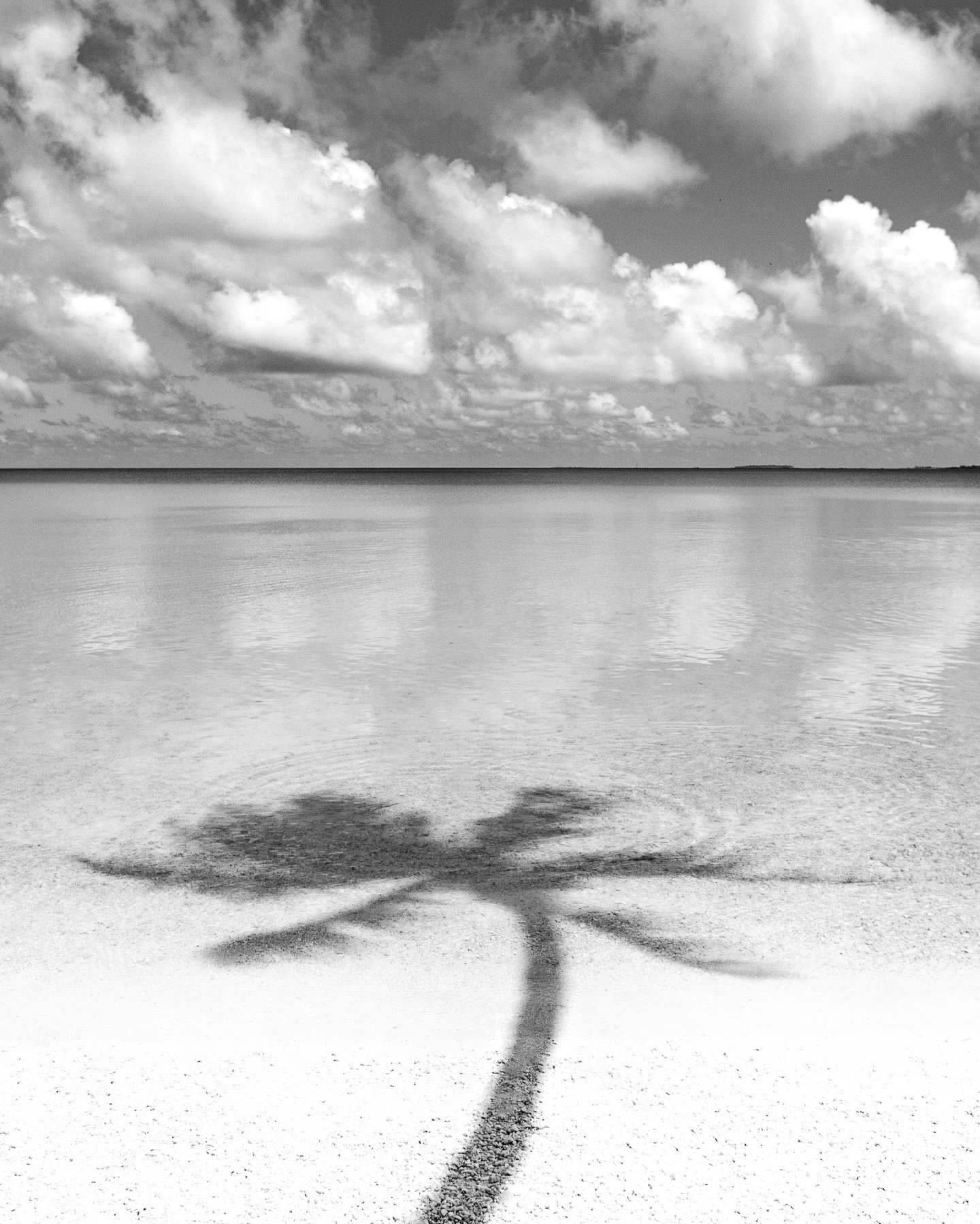 Martin Robertson Creative LLC-22.jpg
