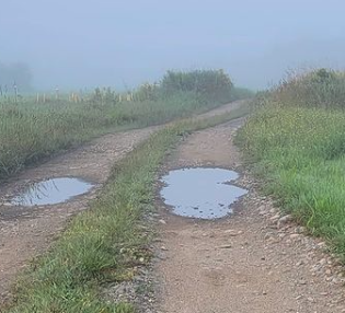 Characteristics of successful endurance athletes - 10 min journal - coach Paul 