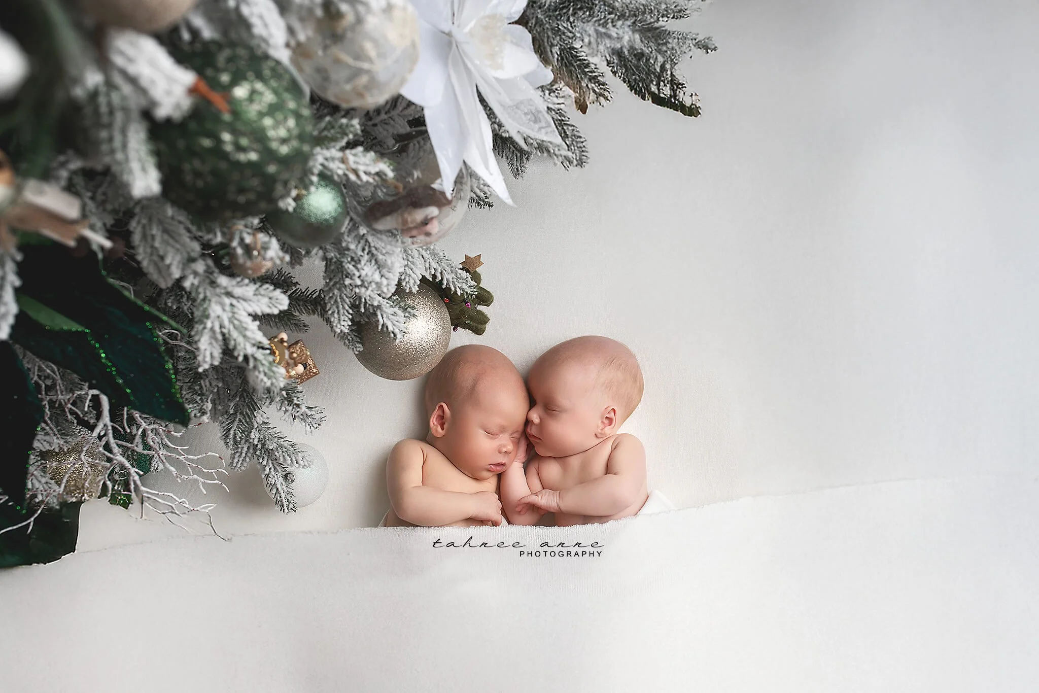 2024TahneeAnnePhotography190.jpg