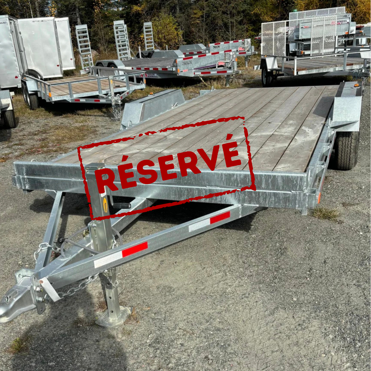 LSS000144 LAROCHE GA80X16