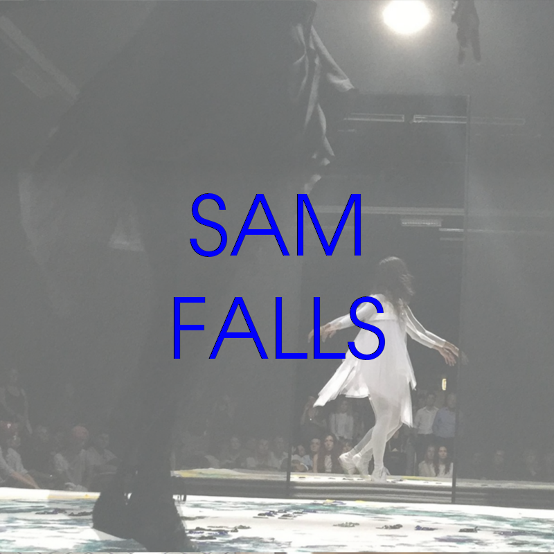 SAM FALLS.png