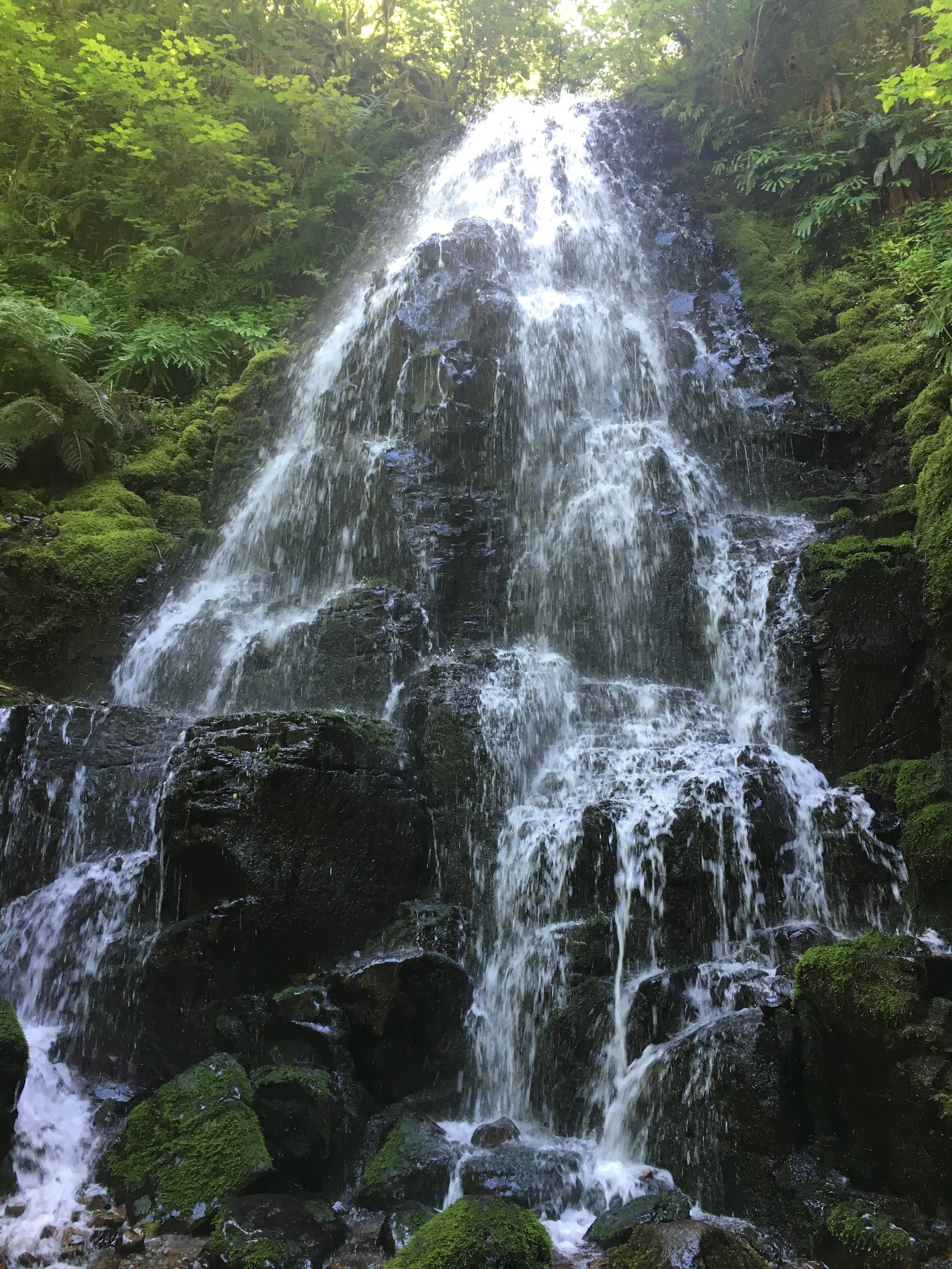 This is called Fairy Falls, I couldn't find it in any hiking books but there's a sign right by the bench beneath it with that name inscribed on it. I hit these falls about 2 miles after leaving Angel's Rest Lookout.