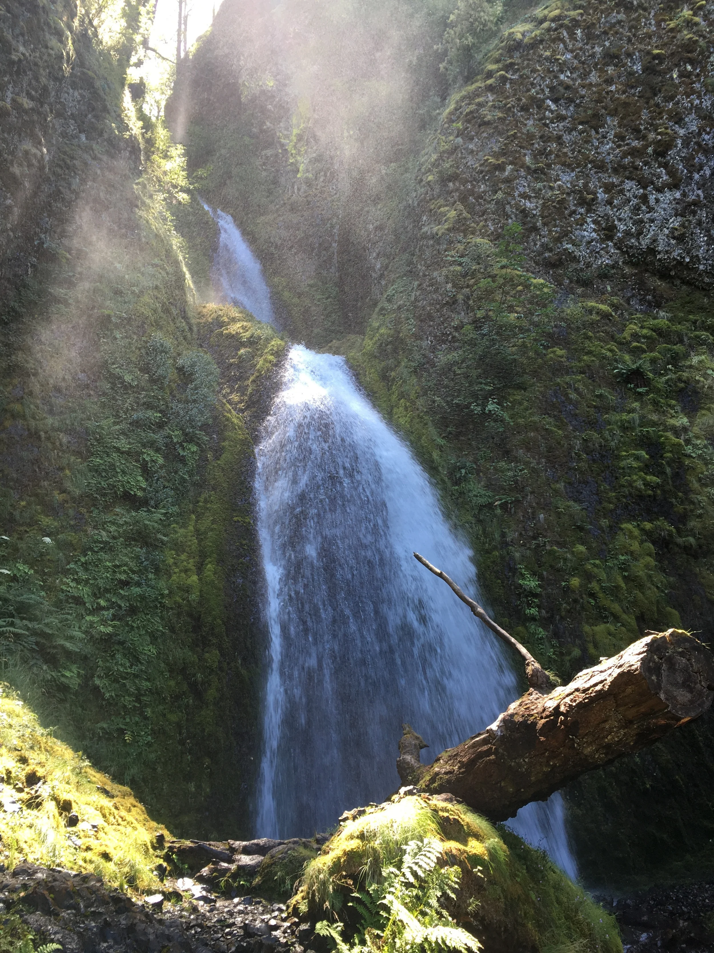 This is the upper falls of Wahkeena, a good indicator that you're almost finally there! While taking this picture I was standing on a beautiful bridge that also had a view of the Columbia River!
