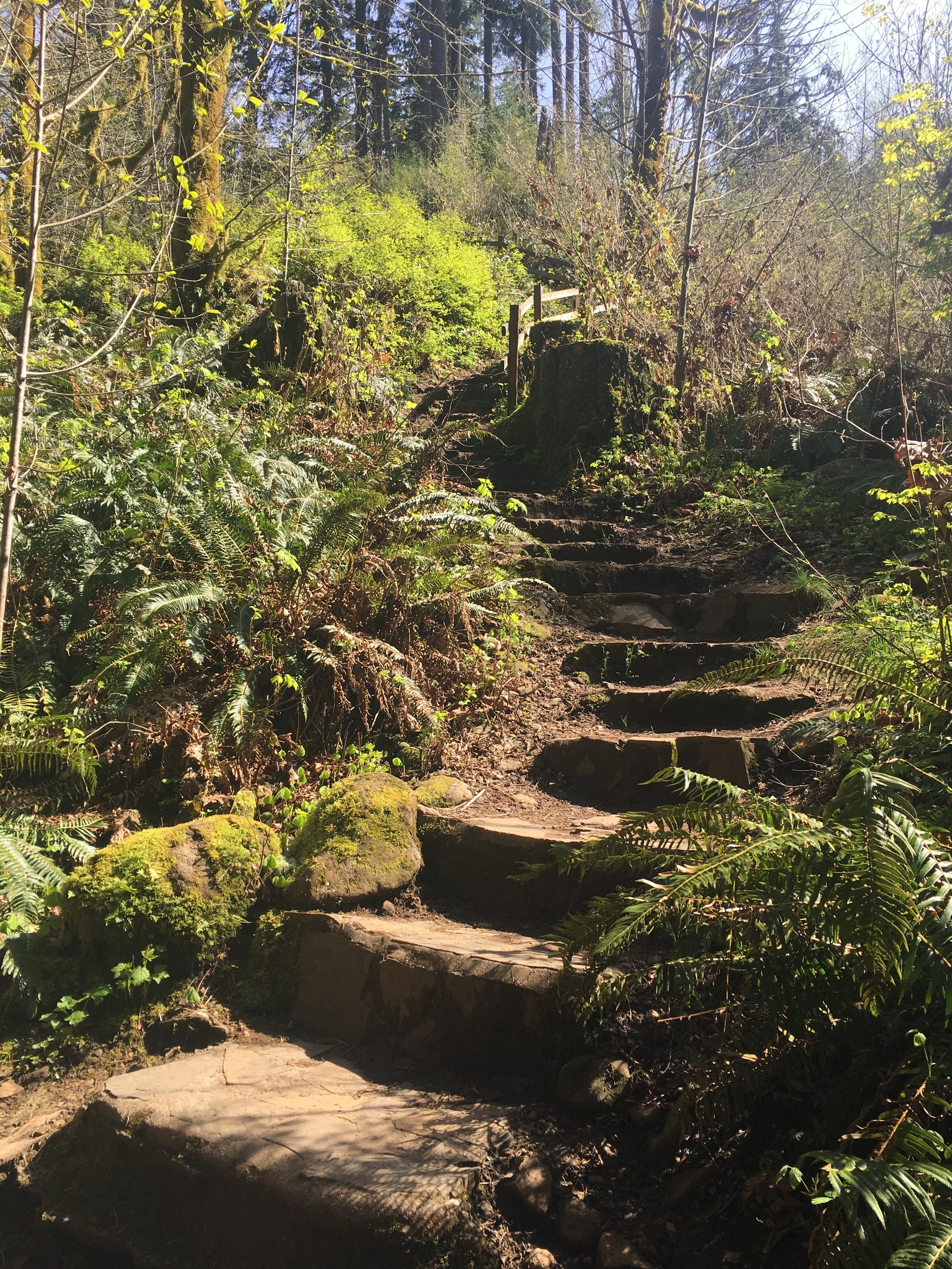 The top of these stairs were still slippery from the storm that morning, which of course means I almost fell a few times...