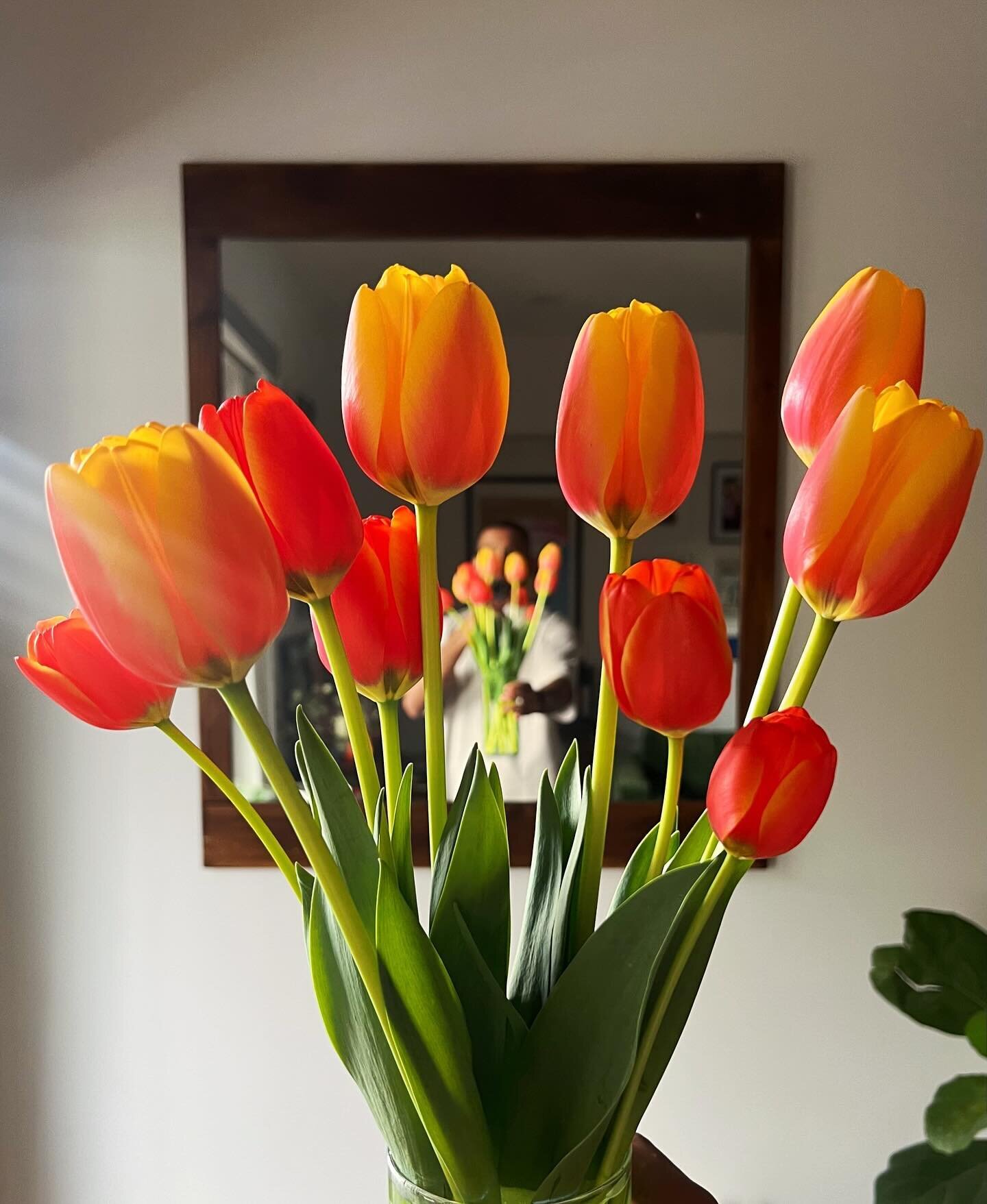 Flowers in my home this year. 💐🌺🌻🌸🌷

Like my favorite writer in the world, @nifmuhammad, I get flowers for myself every other week. A practice that&rsquo;s become tradition. Going to the market on Sunday to discover what&rsquo;s in bloom. Buildi