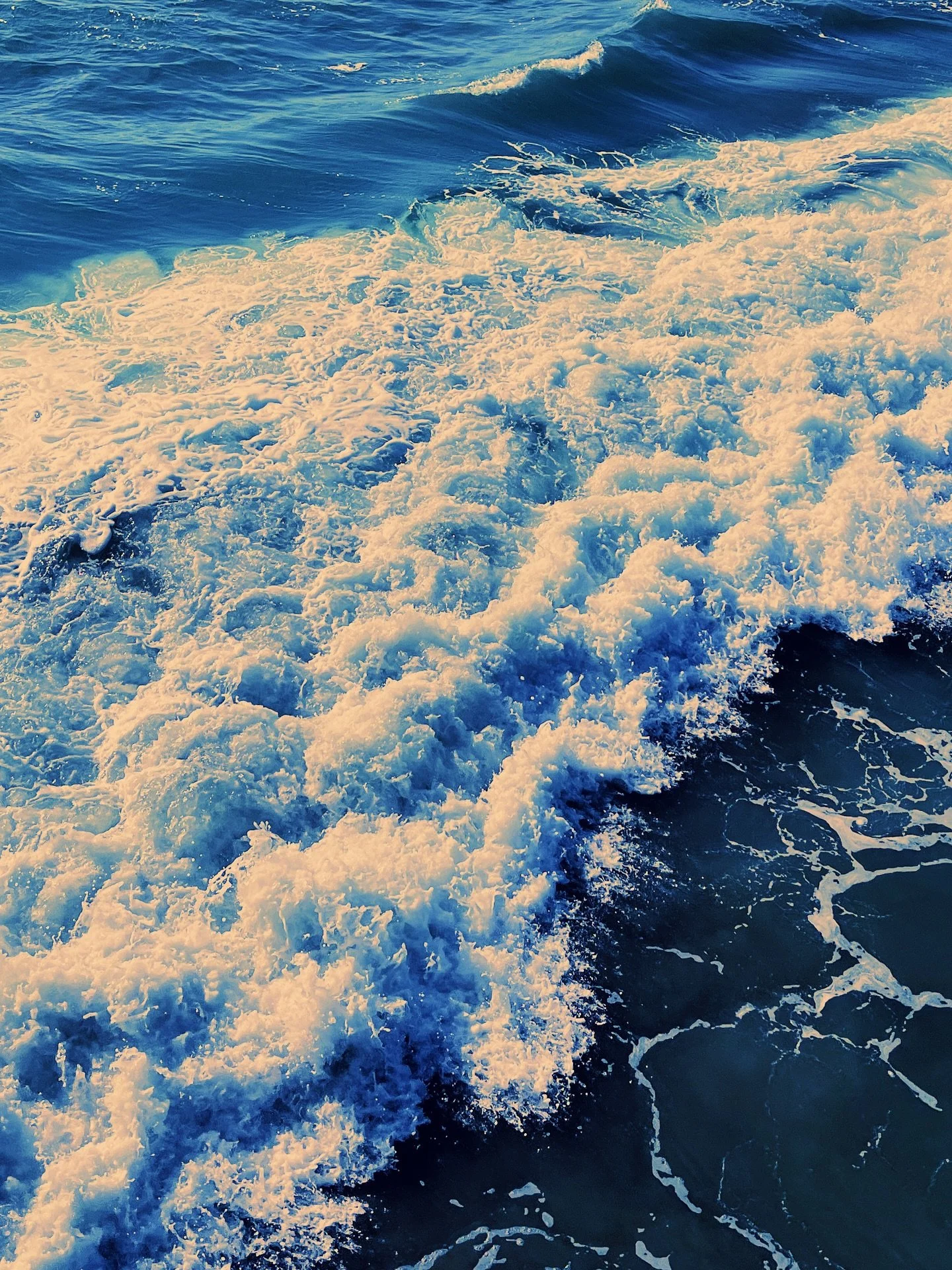 Hi. Just sharing some photos from my camera roll. I take so many photos every day, but I don&rsquo;t share them as frequently.

Trying to change that because the world I see can be quite beautiful &amp; even when it isn&rsquo;t I will make it so. 🧪?