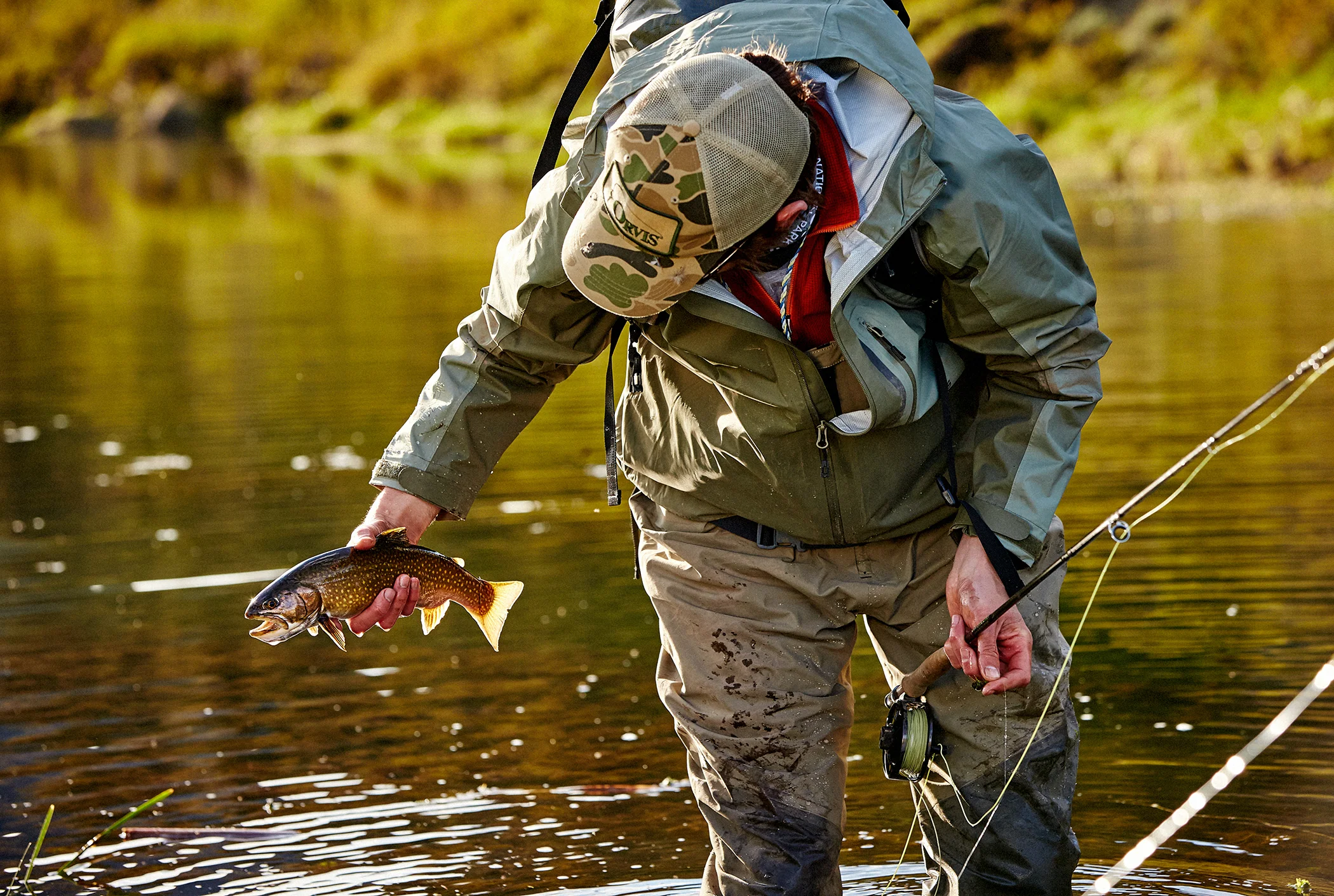 ORVIS_T.jpg