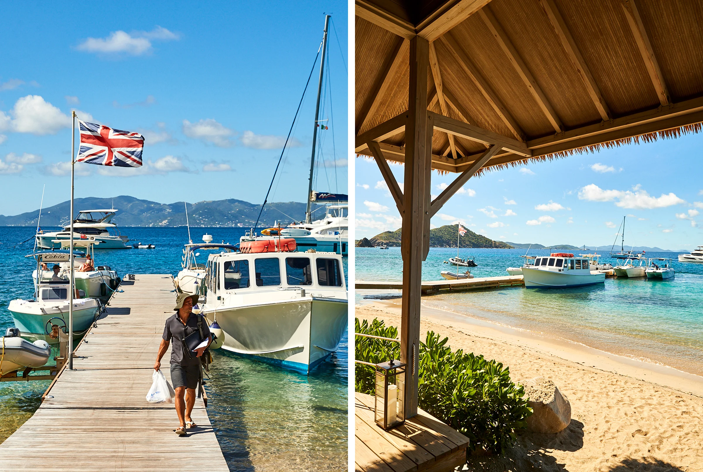 TL_BVI_Web5.jpg