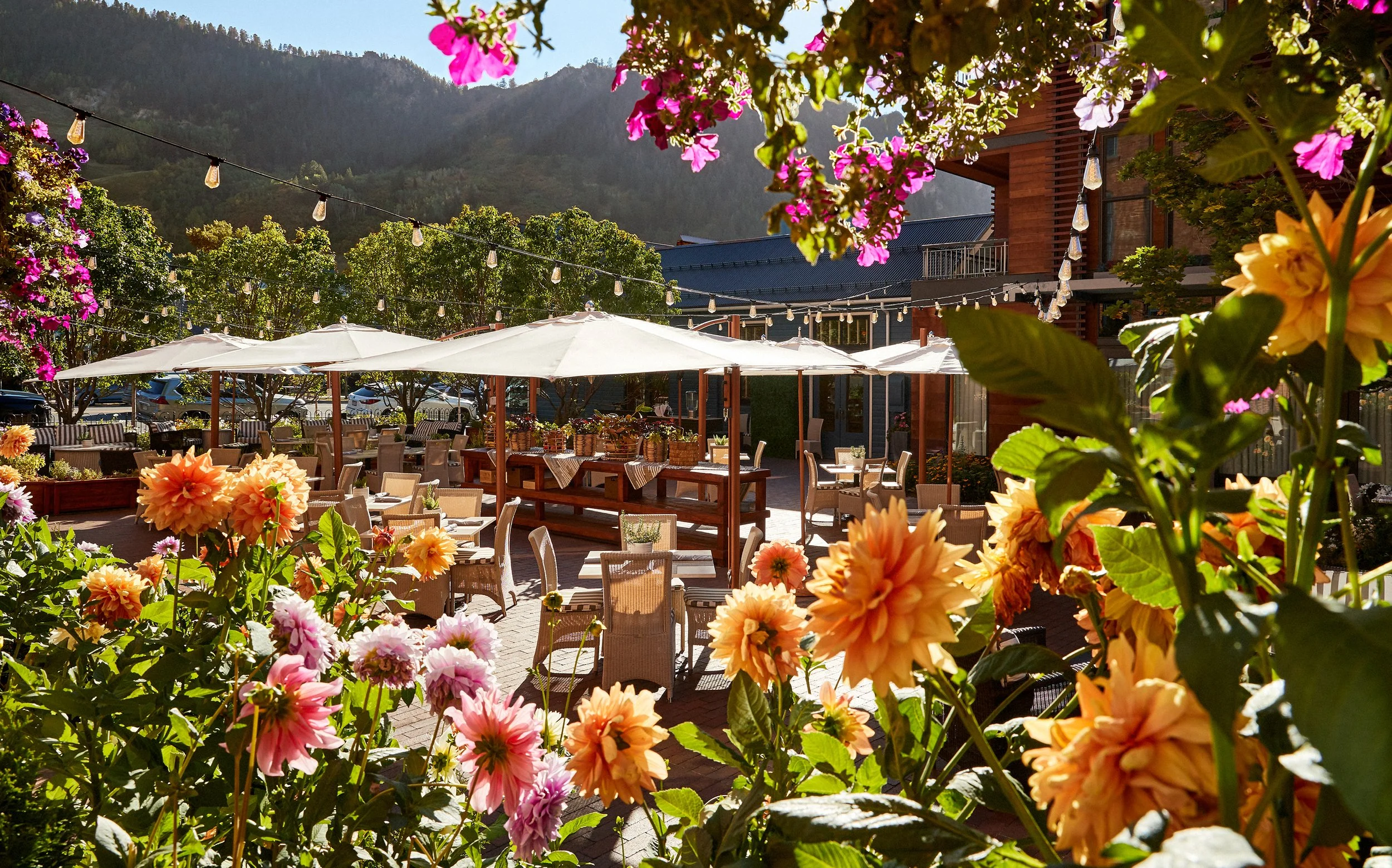 NoeDeWitt_Auberge_HotelJerome_Copyright202415.jpg