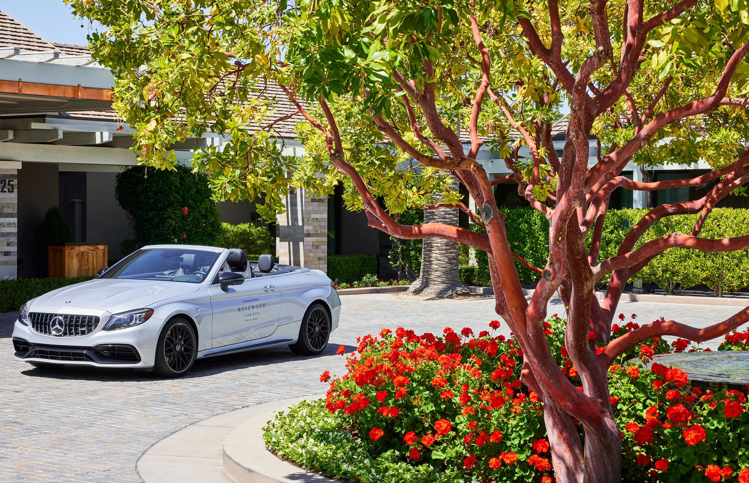 NoeDeWitt_Rosewood_SandHill_Copyright-2024_22.jpg