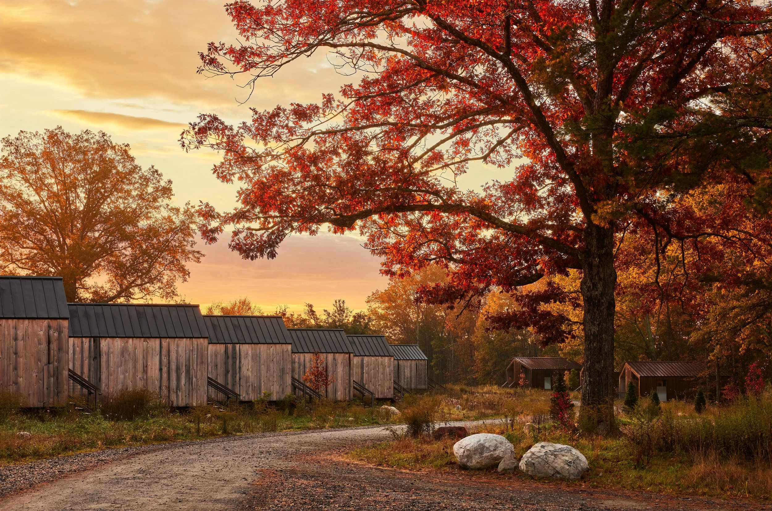 NoeDeWitt_Auberge_WildflowerFarms_Copyright-2024_023.jpg