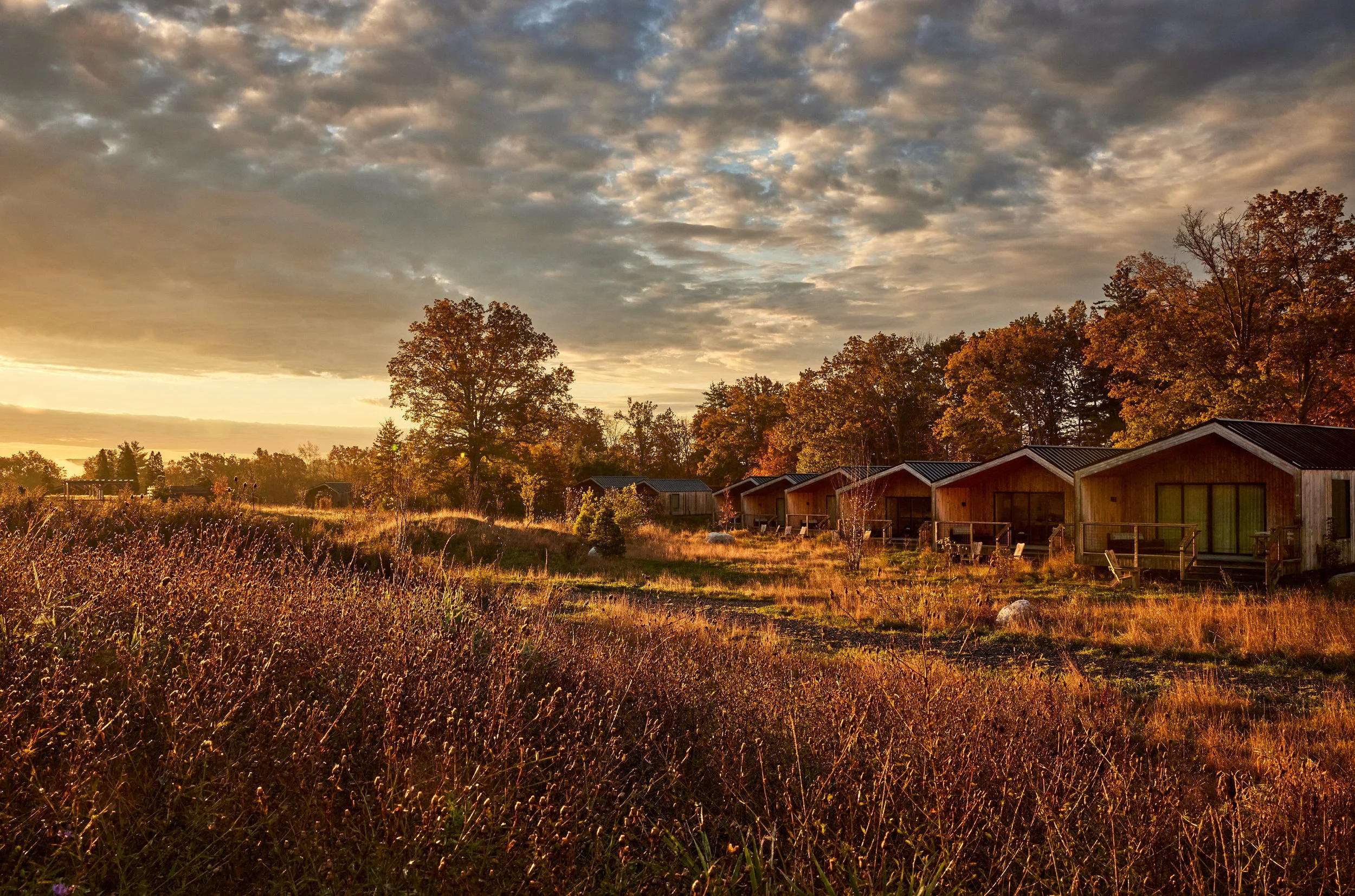 NoeDeWitt_Auberge_WildflowerFarms_Copyright-2024_025.jpg