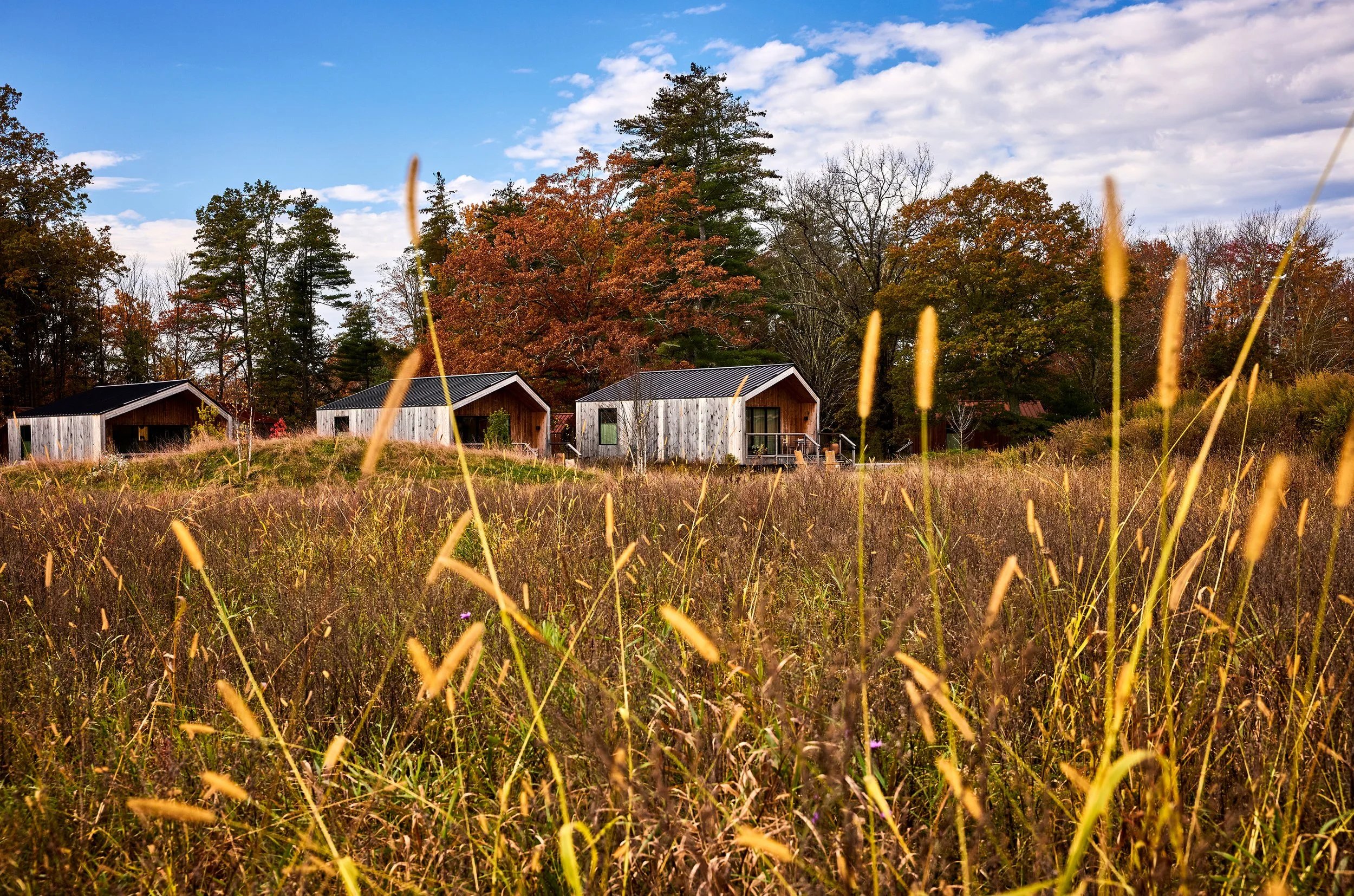 NoeDeWitt_Auberge_WildflowerFarms_Copyright-2024_028.jpg