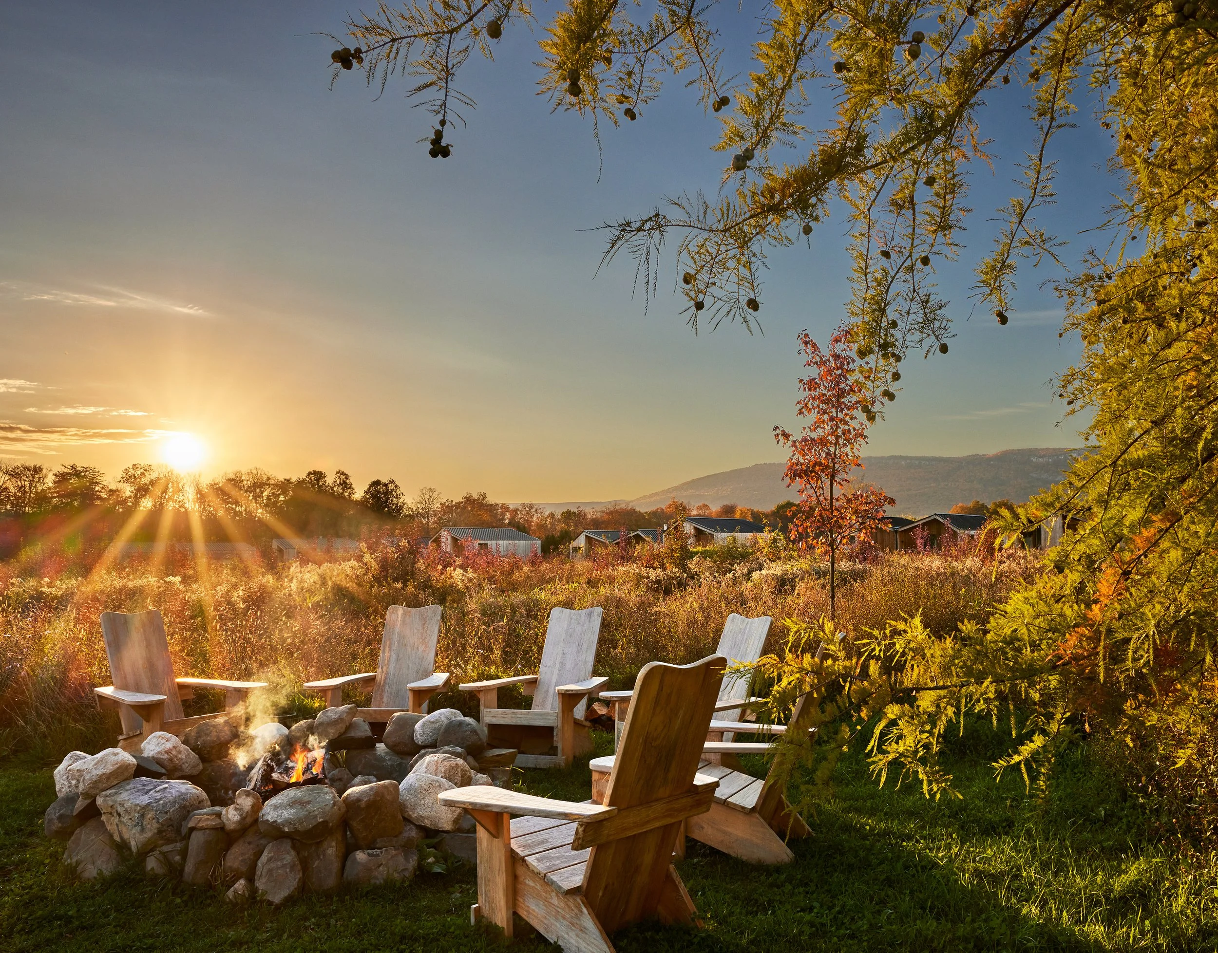 NoeDeWitt_Auberge_WildflowerFarms_Copyright-2024_033.jpg