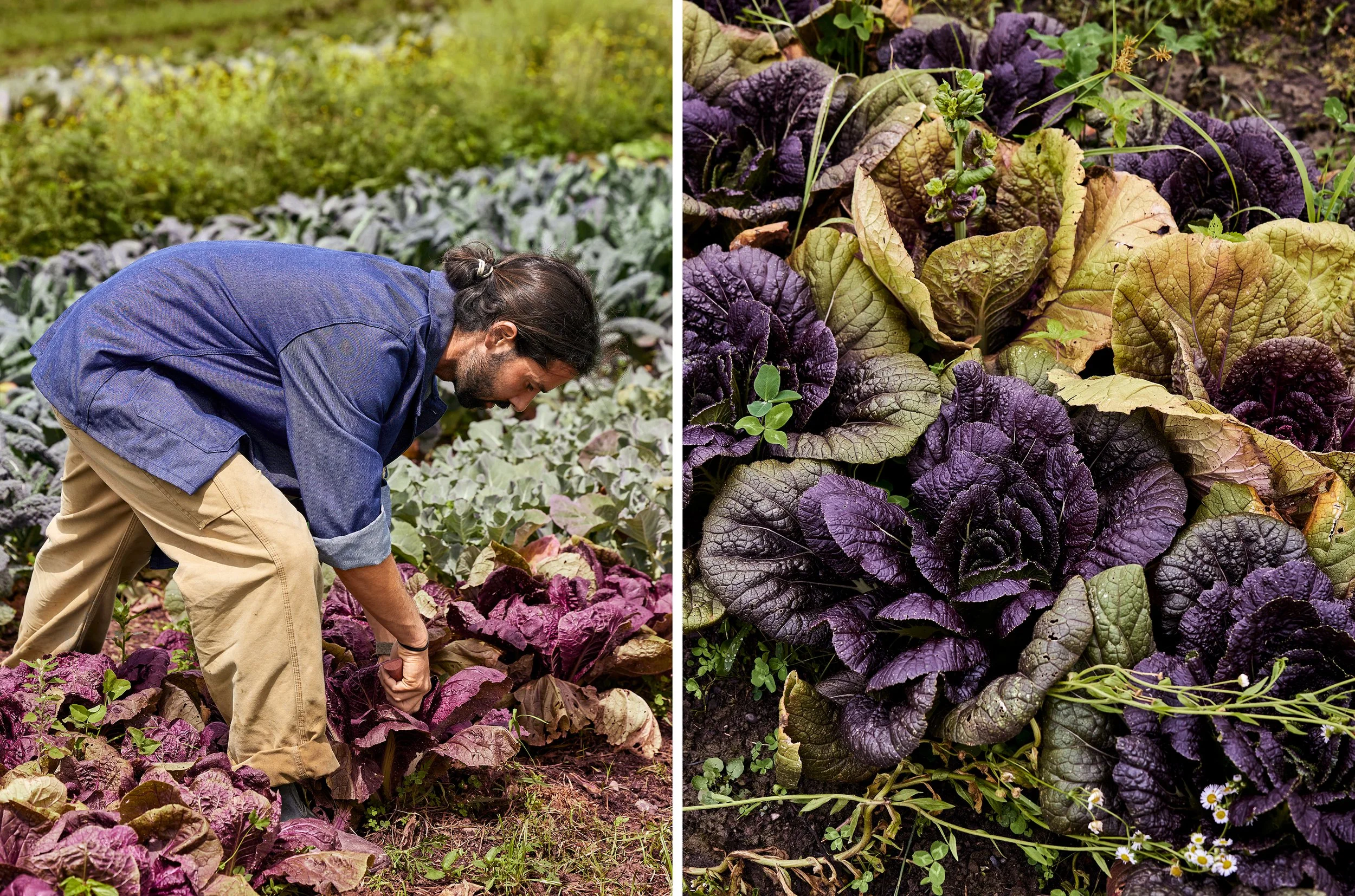 NoeDeWitt_Auberge_WildflowerFarms_Copyright-2024_047.jpg