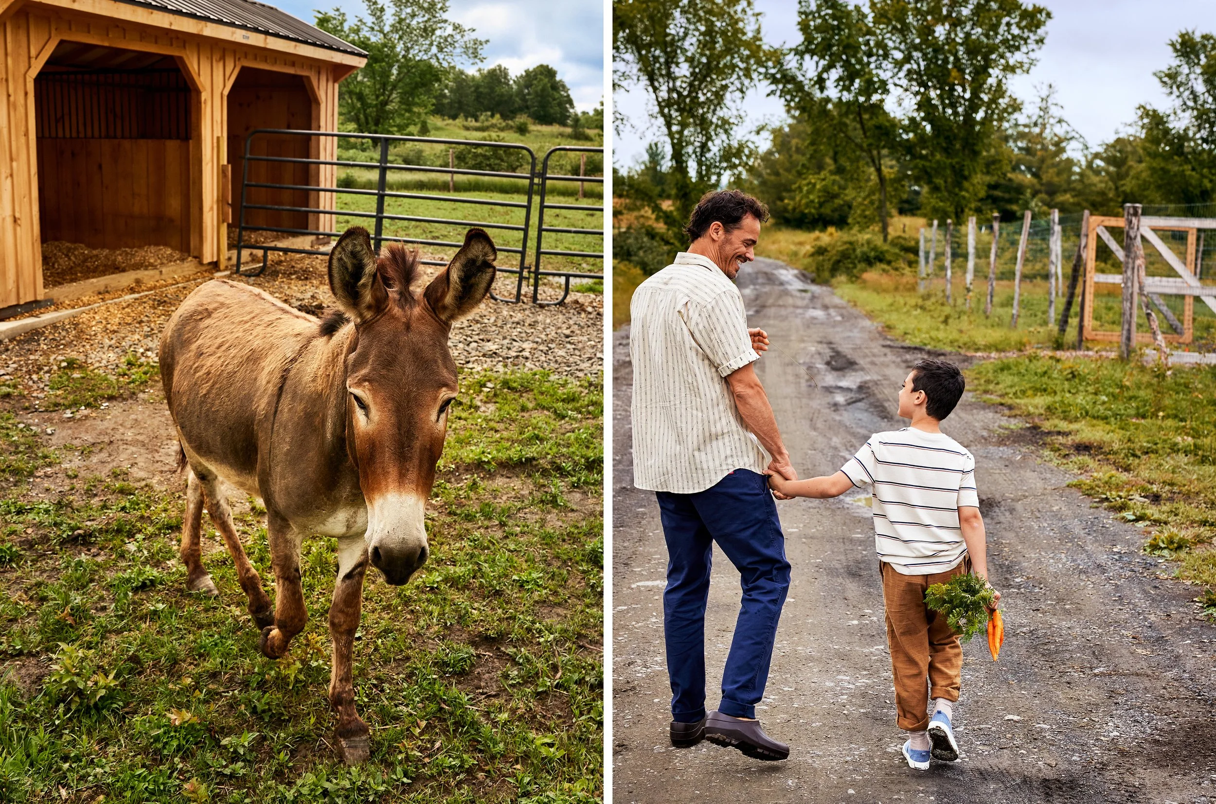 NoeDeWitt_Auberge_WildflowerFarms_Copyright-2024_049.jpg