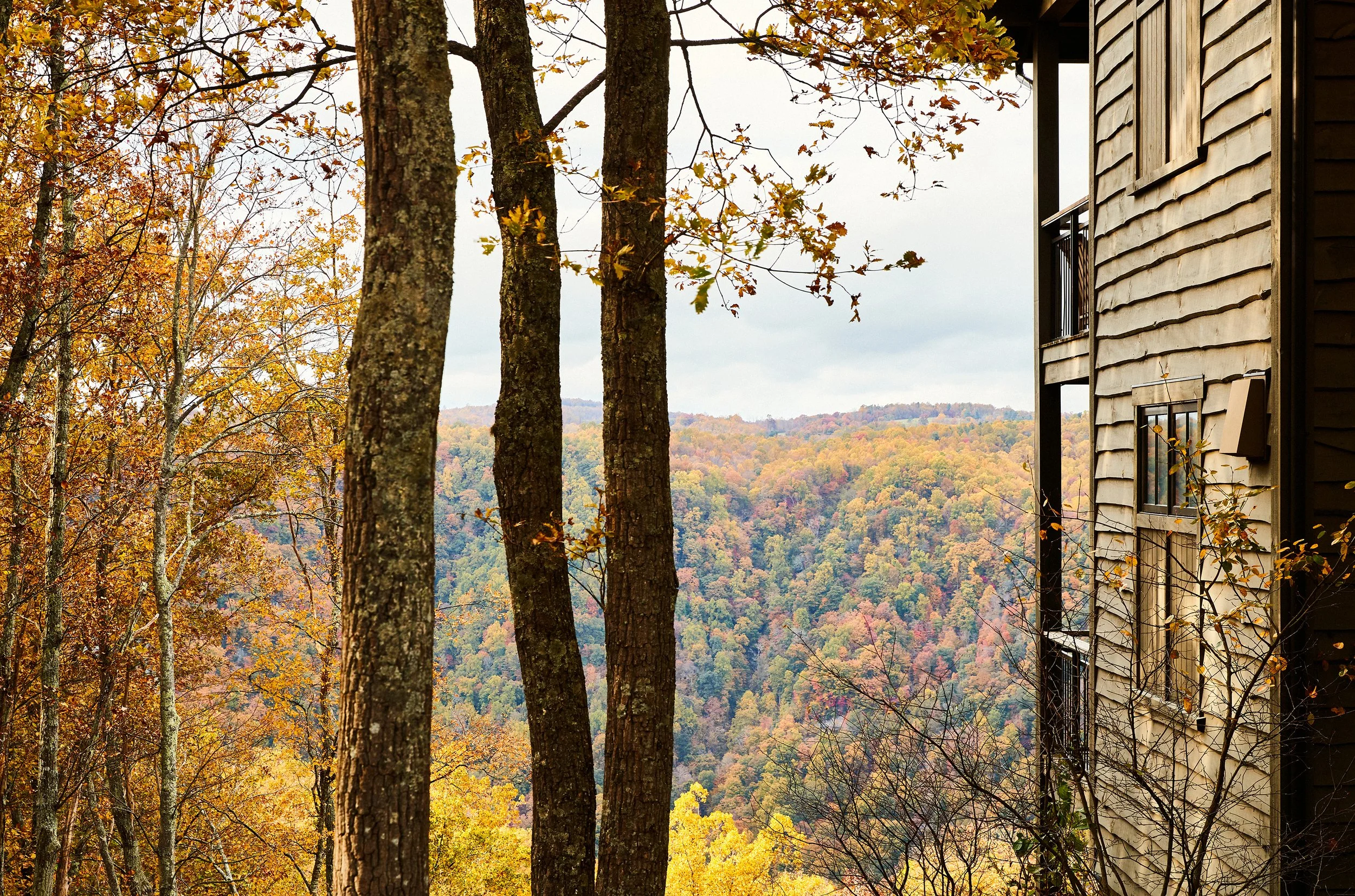 NoeDeWitt_Auberge_Primland_Copyright-2024_28.jpg