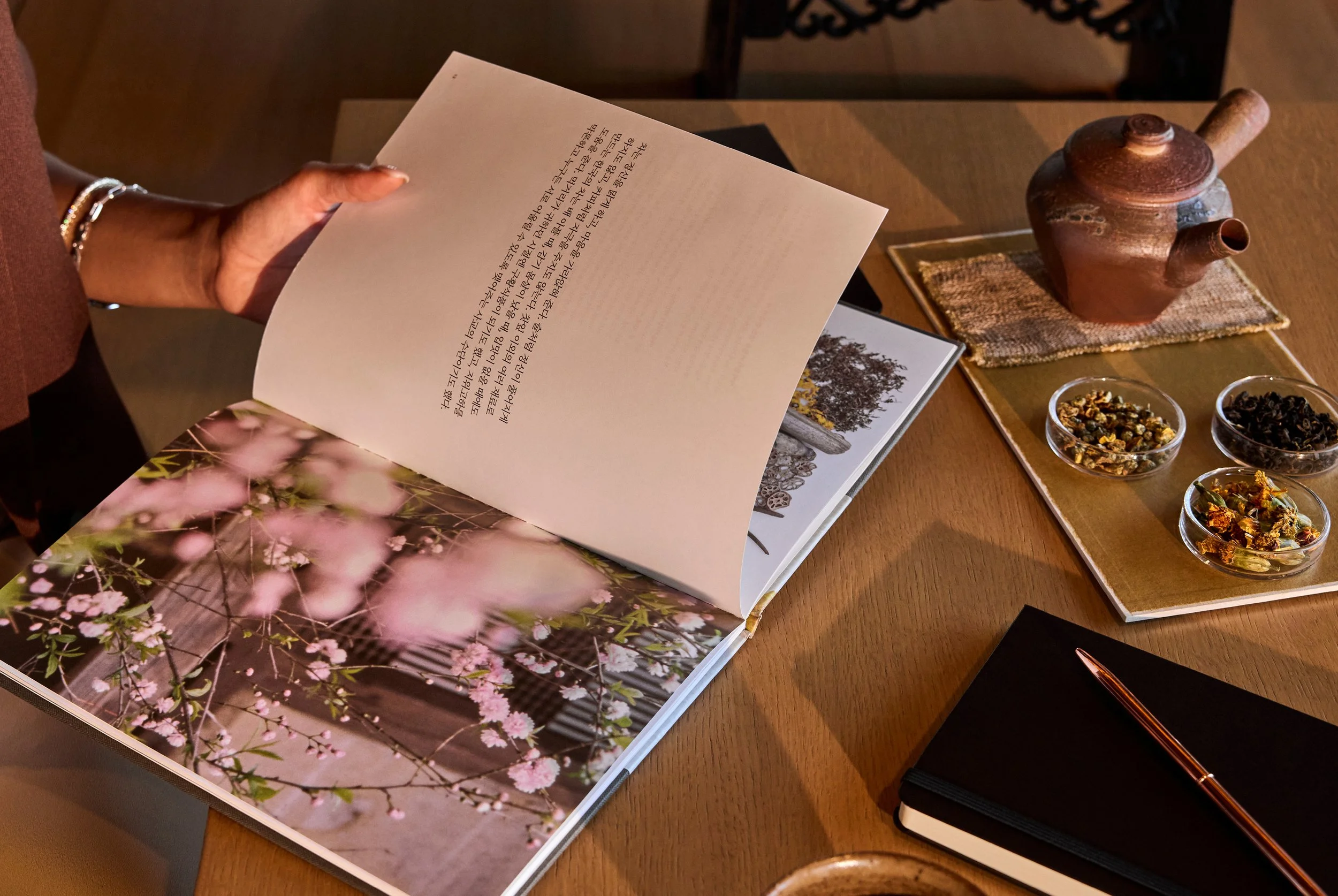 NoeDeWitt_GenesisHouse_Evergreen_2025_Web_Layout27.jpg