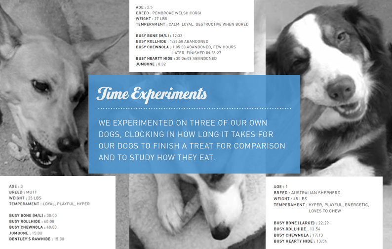 experiments4.jpg
