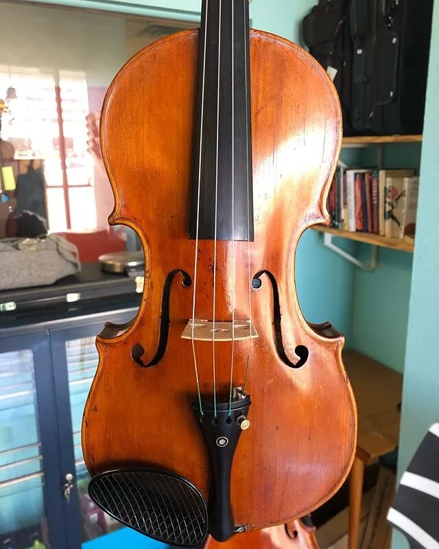 Caraway Strings
