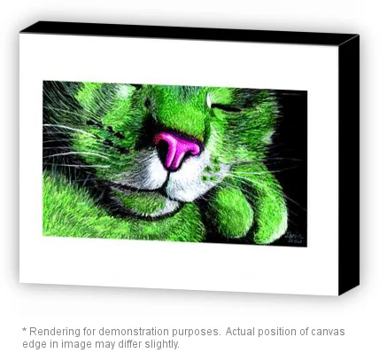 Green cat Gallery Canvas.jpeg