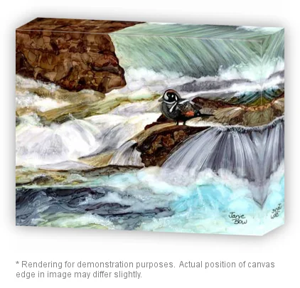 Rushing waters Harlequin duck gallery canvas.jpeg