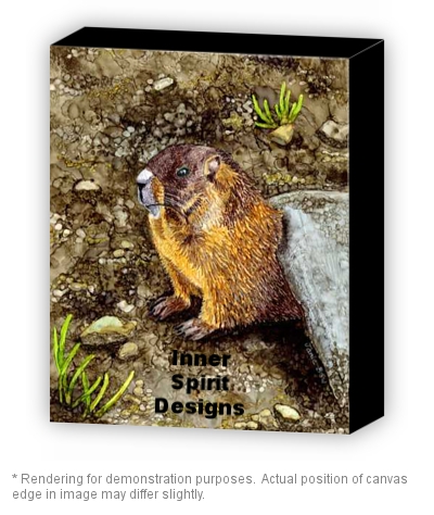 Marmot Gallery Canvas.jpeg