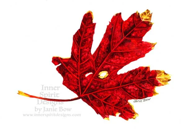 RED-LEAF-to-show-others.jpg