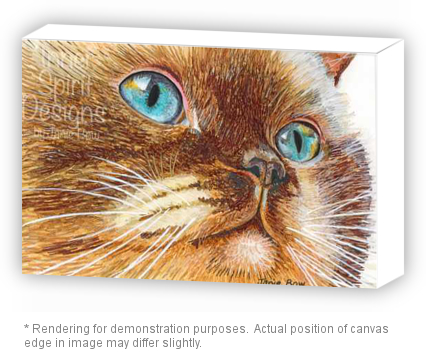 Cat with Turquoise eyes white gallery wrap photo.jpeg