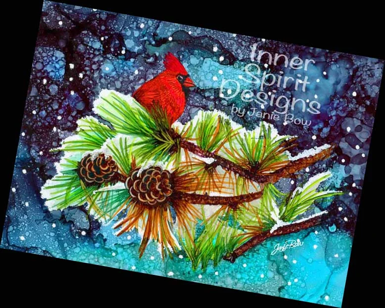 CARDINAL-on-SNOWY-PINE-to-show-others TILTED.jpg