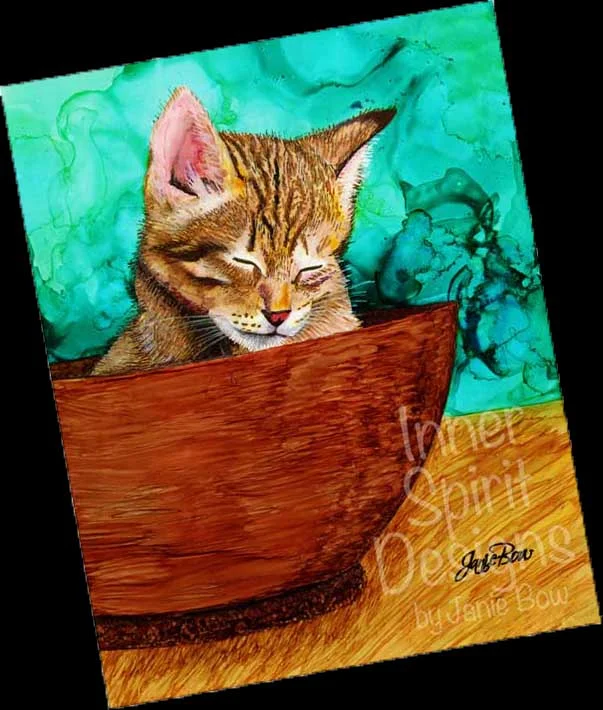 CAT-IN-BOWL-to-show-others TILTED.jpg