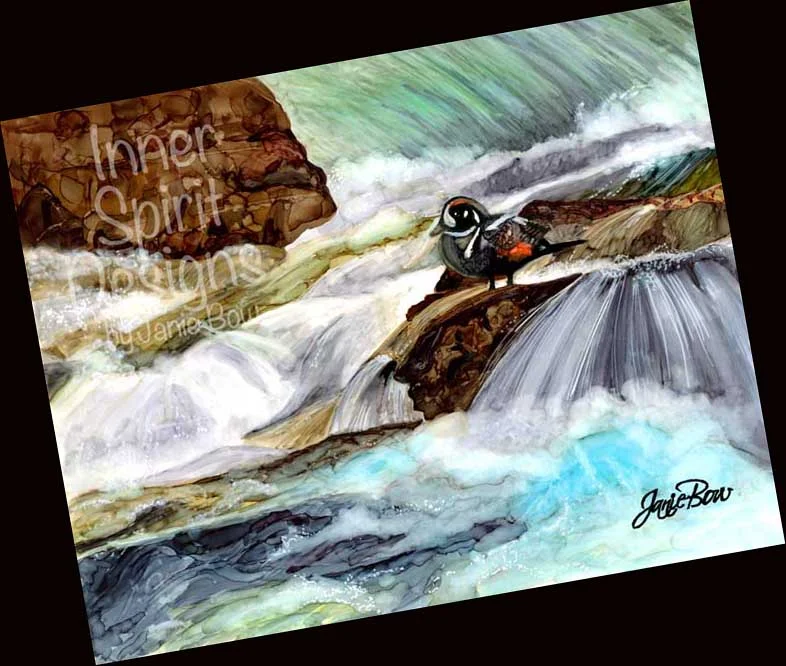 Harlequin-Duck-Rushing-River-TO-SHOW-OTHERS TILTED.jpg