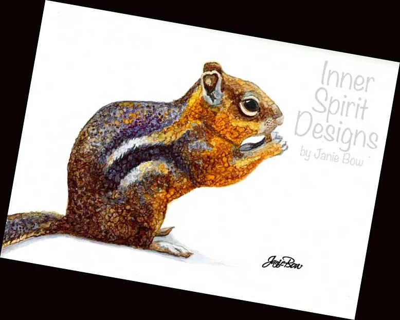 Chipmunk-on-white-to-show-others TILTED.jpg